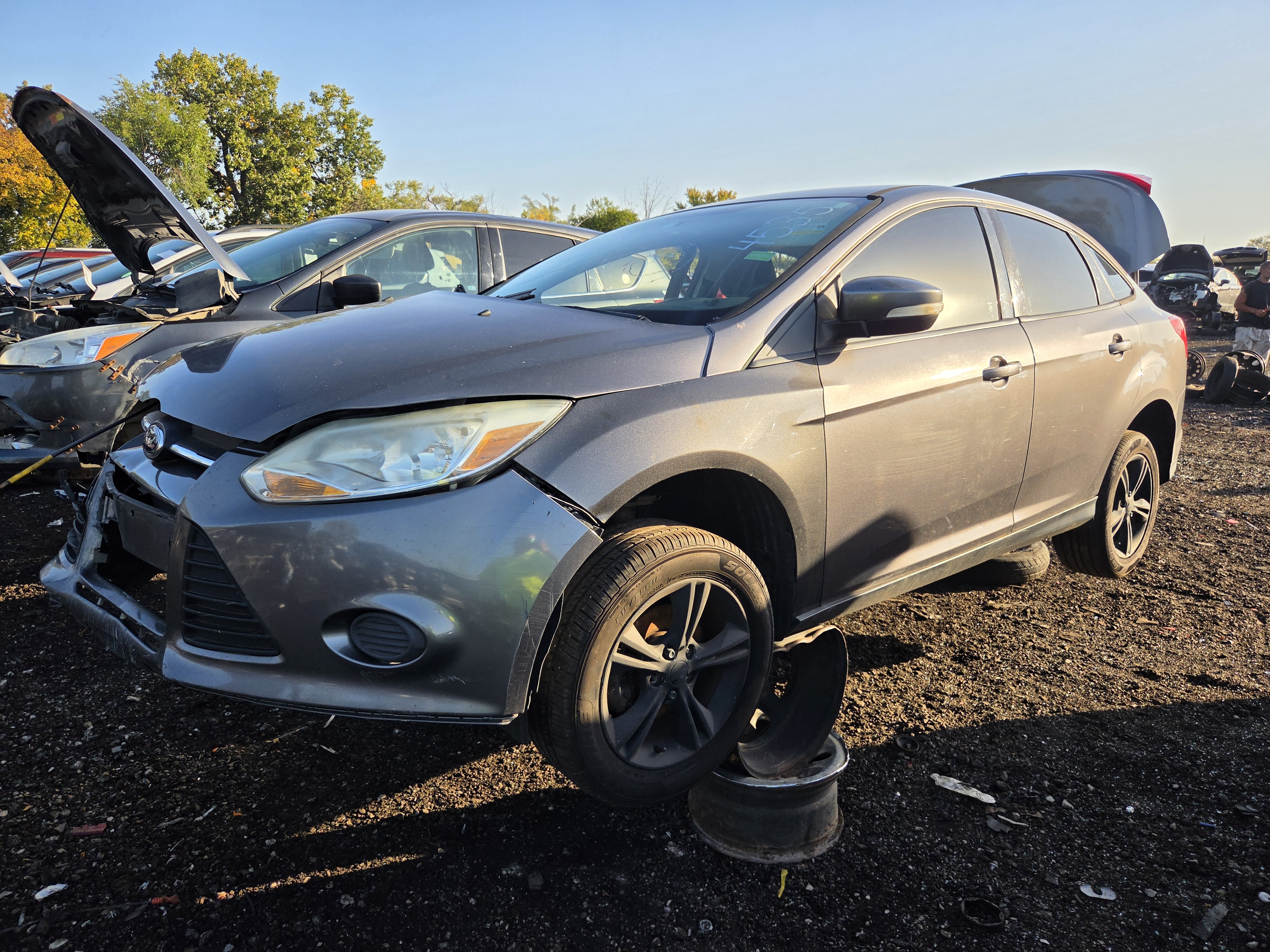 2014 FORD Focus