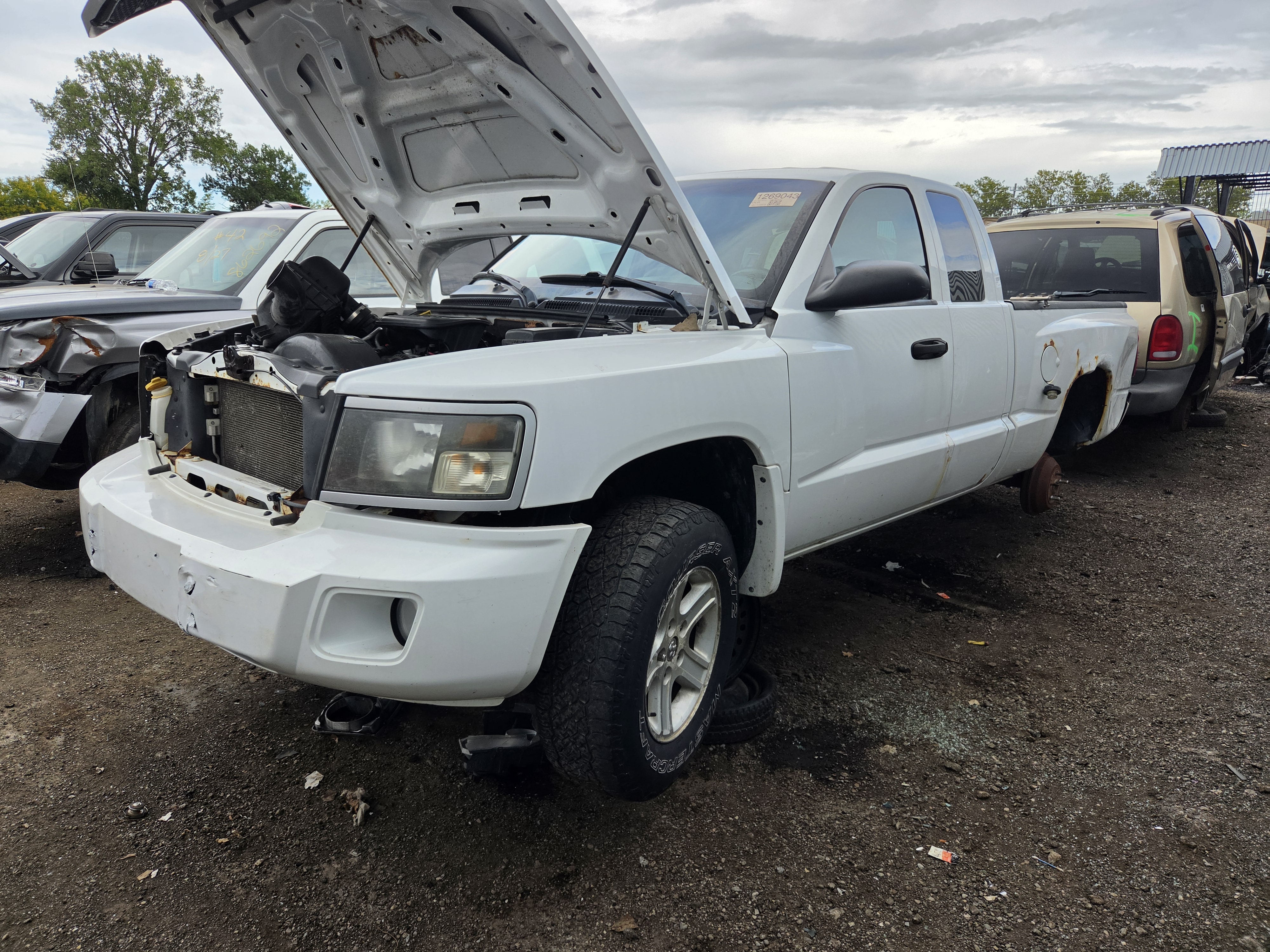2011 DODGE Dakota