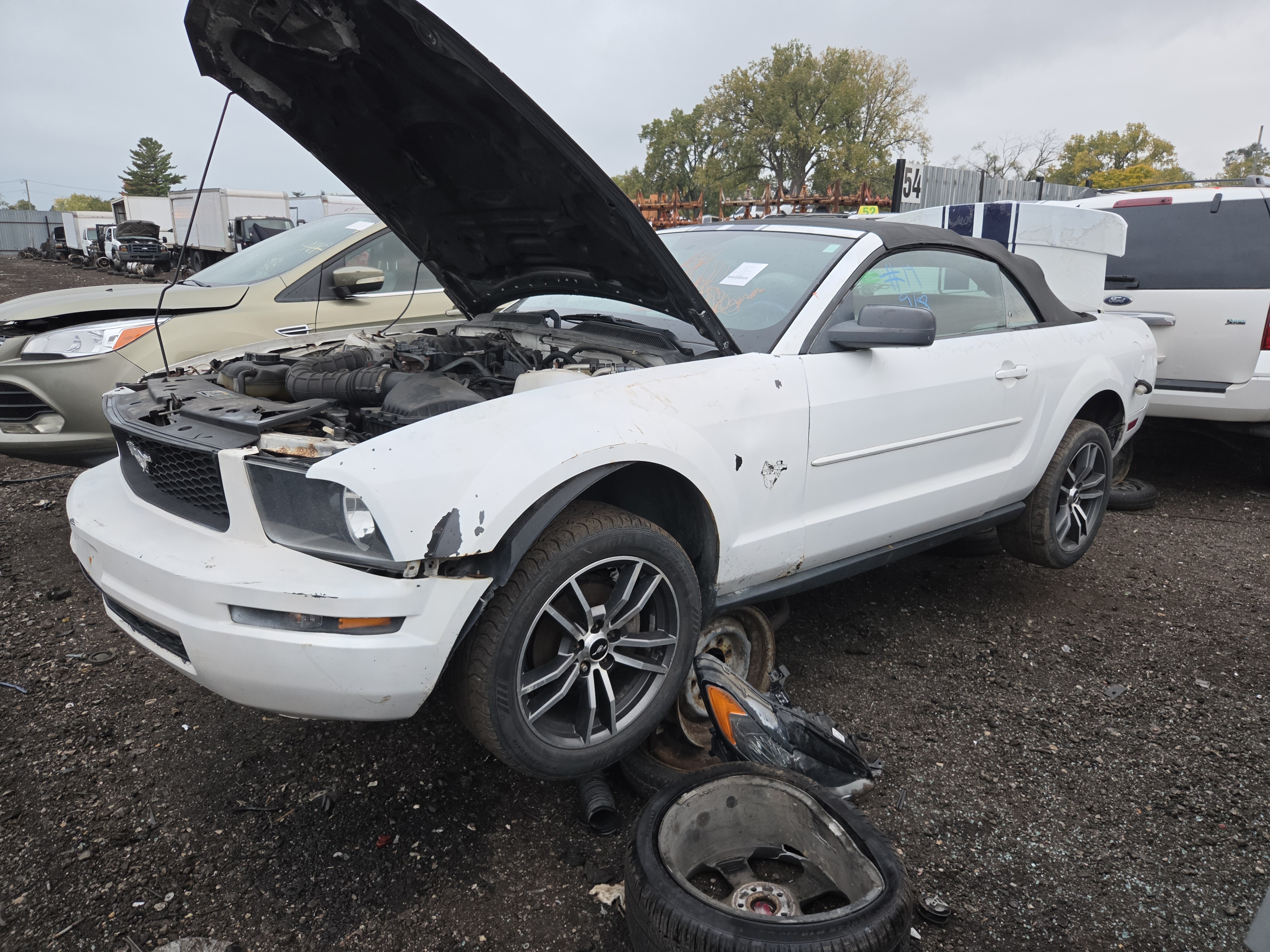 2008 FORD Mustang