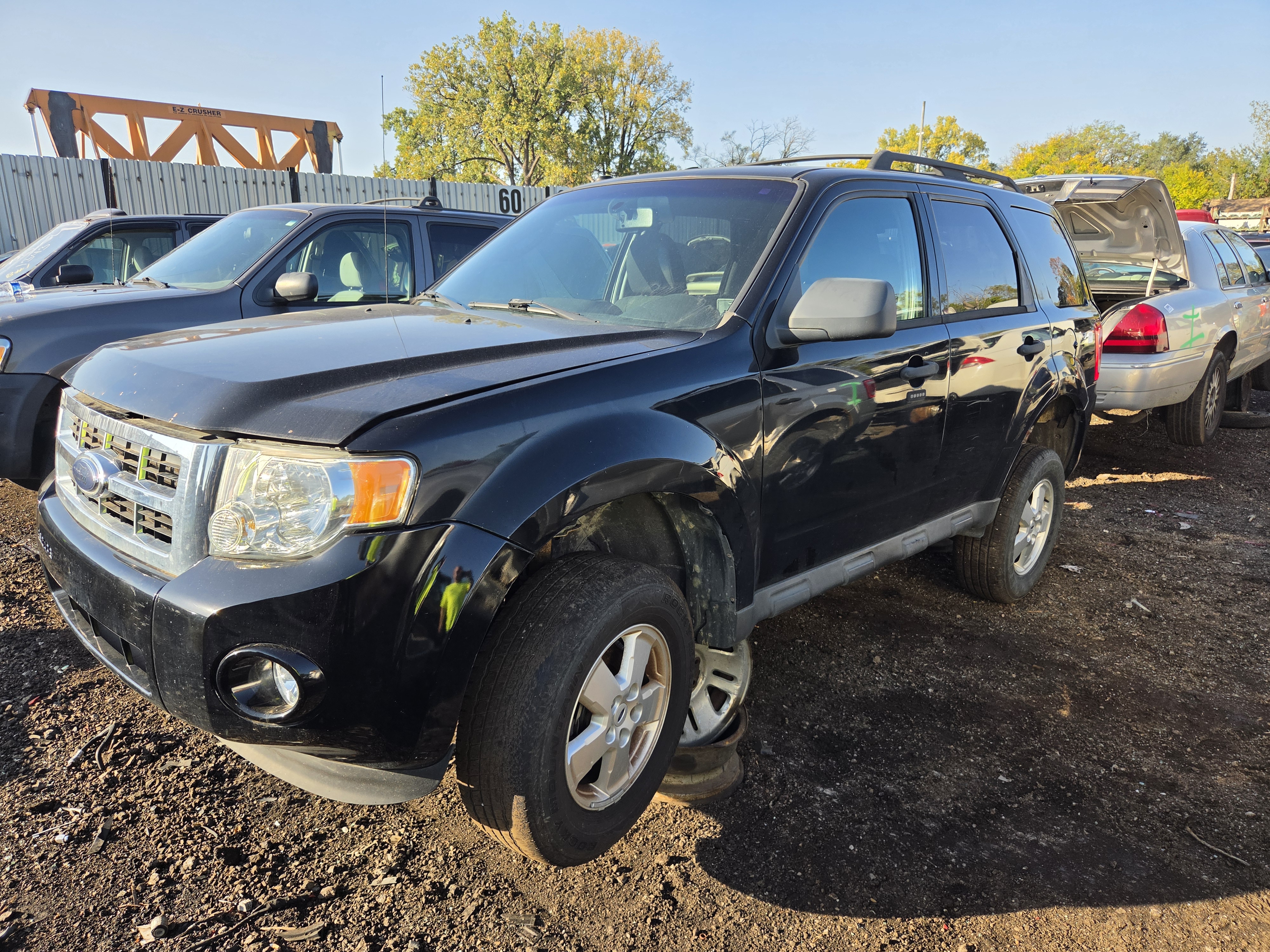 2009 FORD Escape
