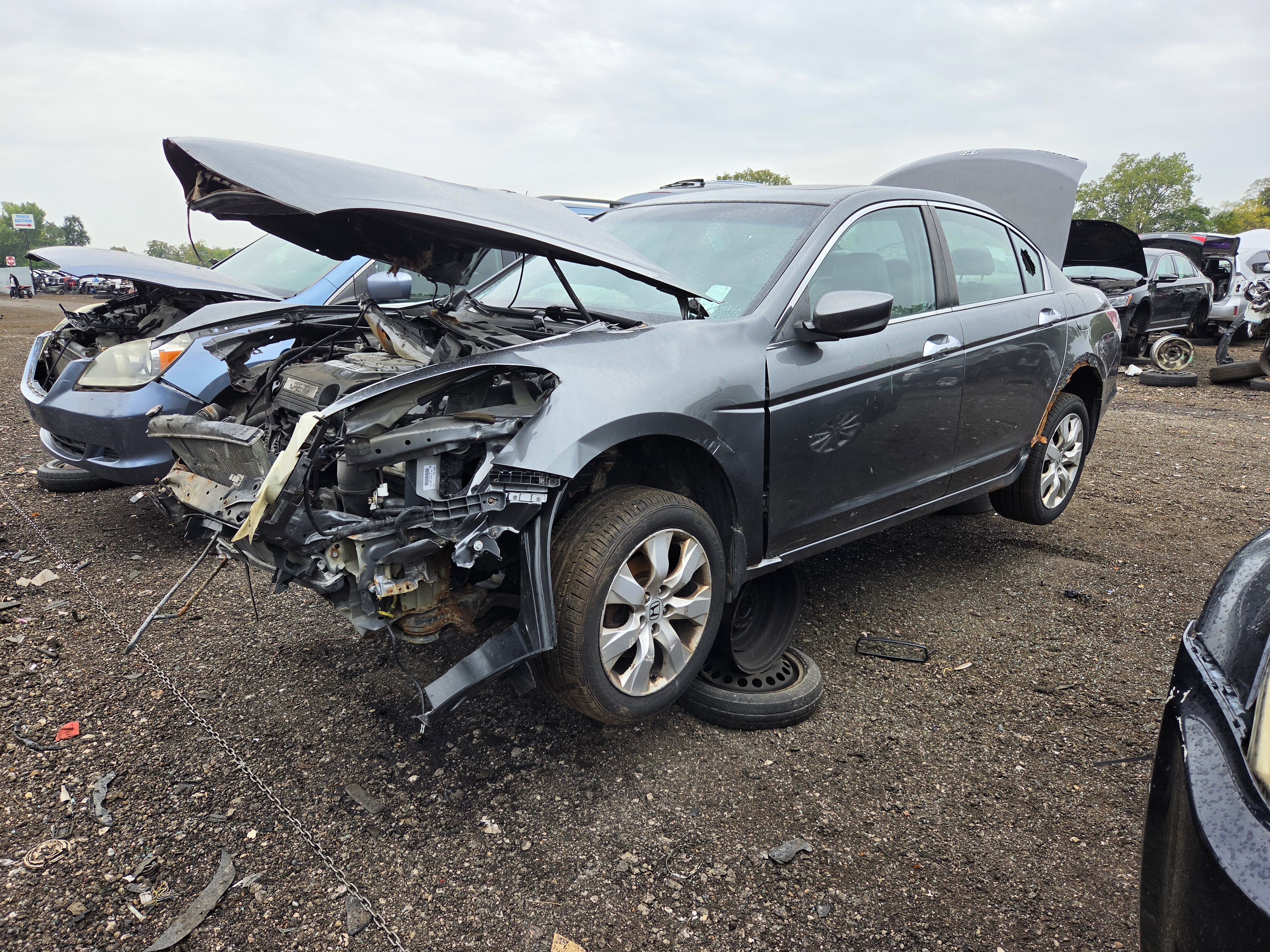 2009 HONDA Accord