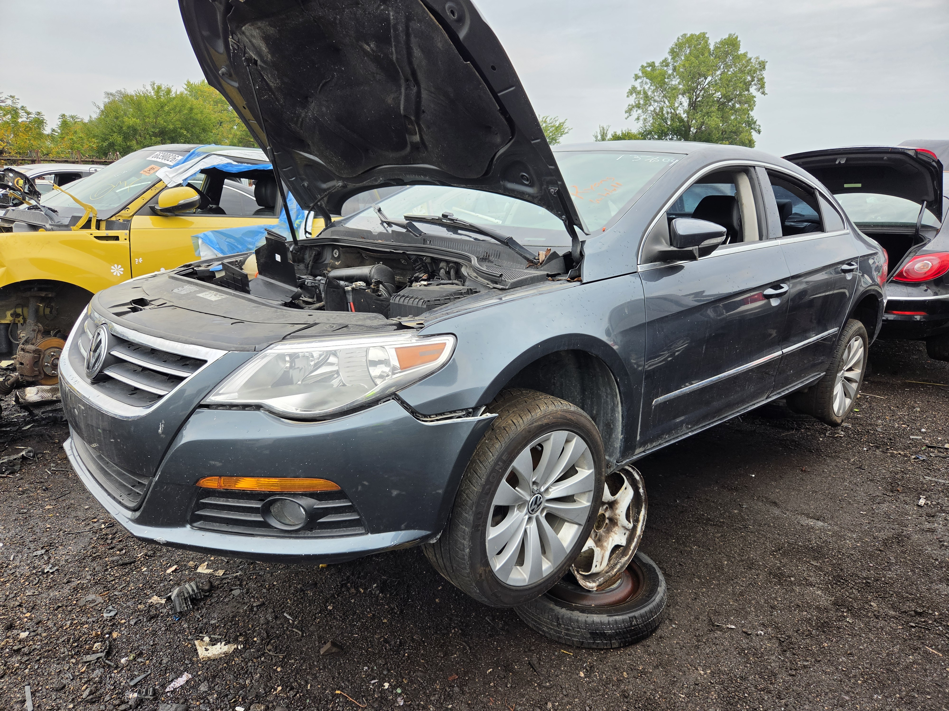 2009 VOLKSWAGEN Passat