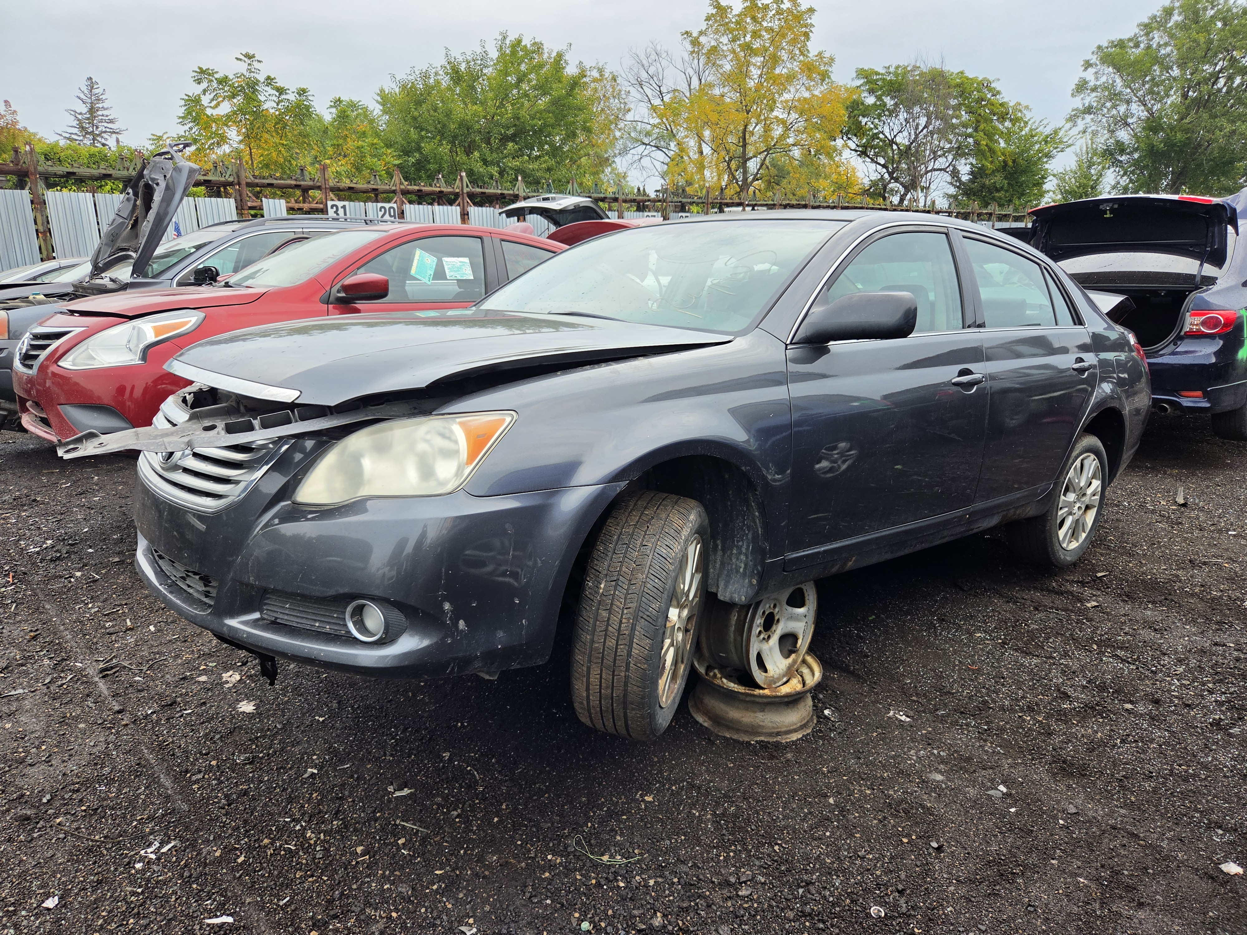 2008 TOYOTA Avalon