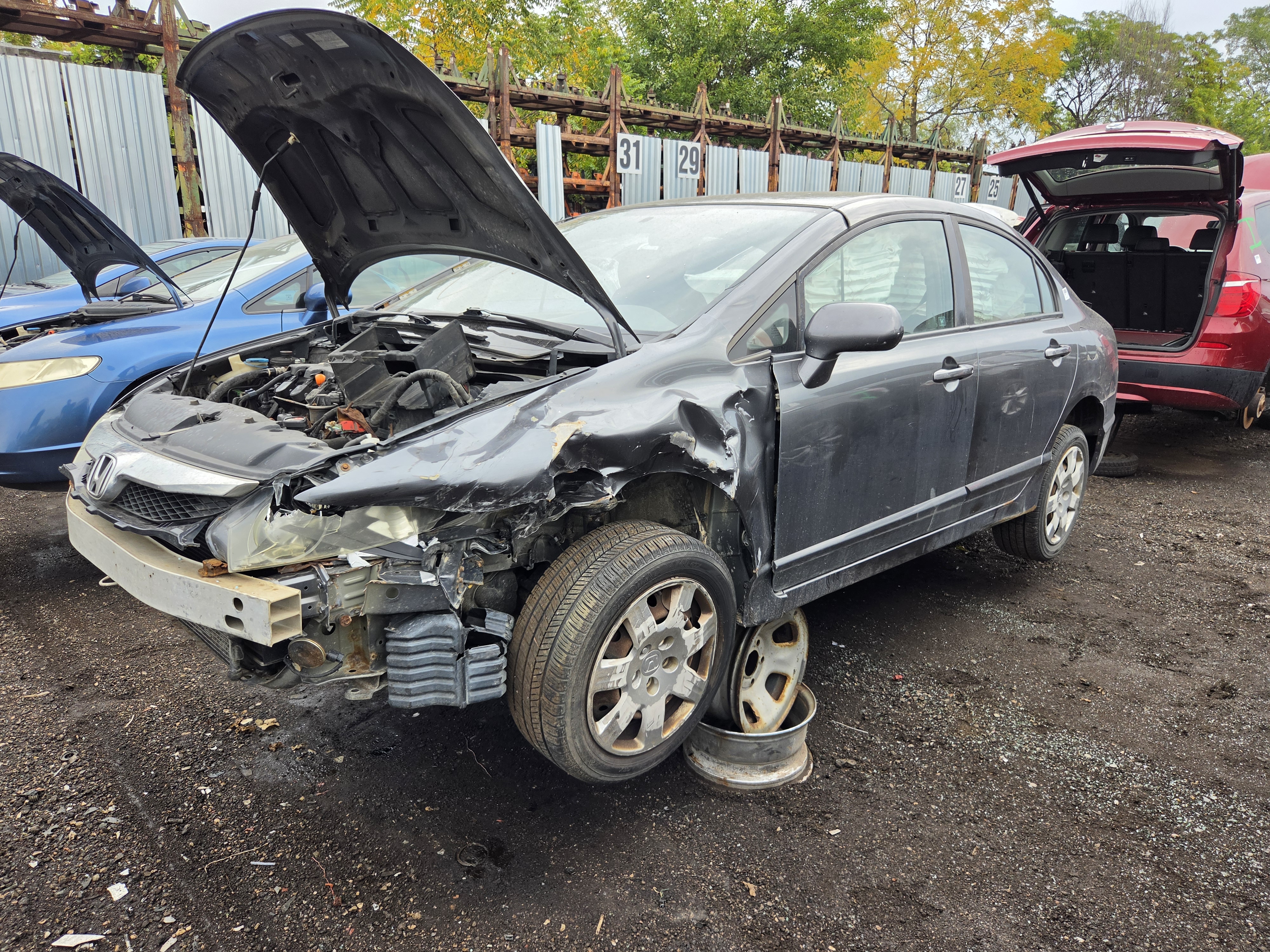 2010 HONDA Civic