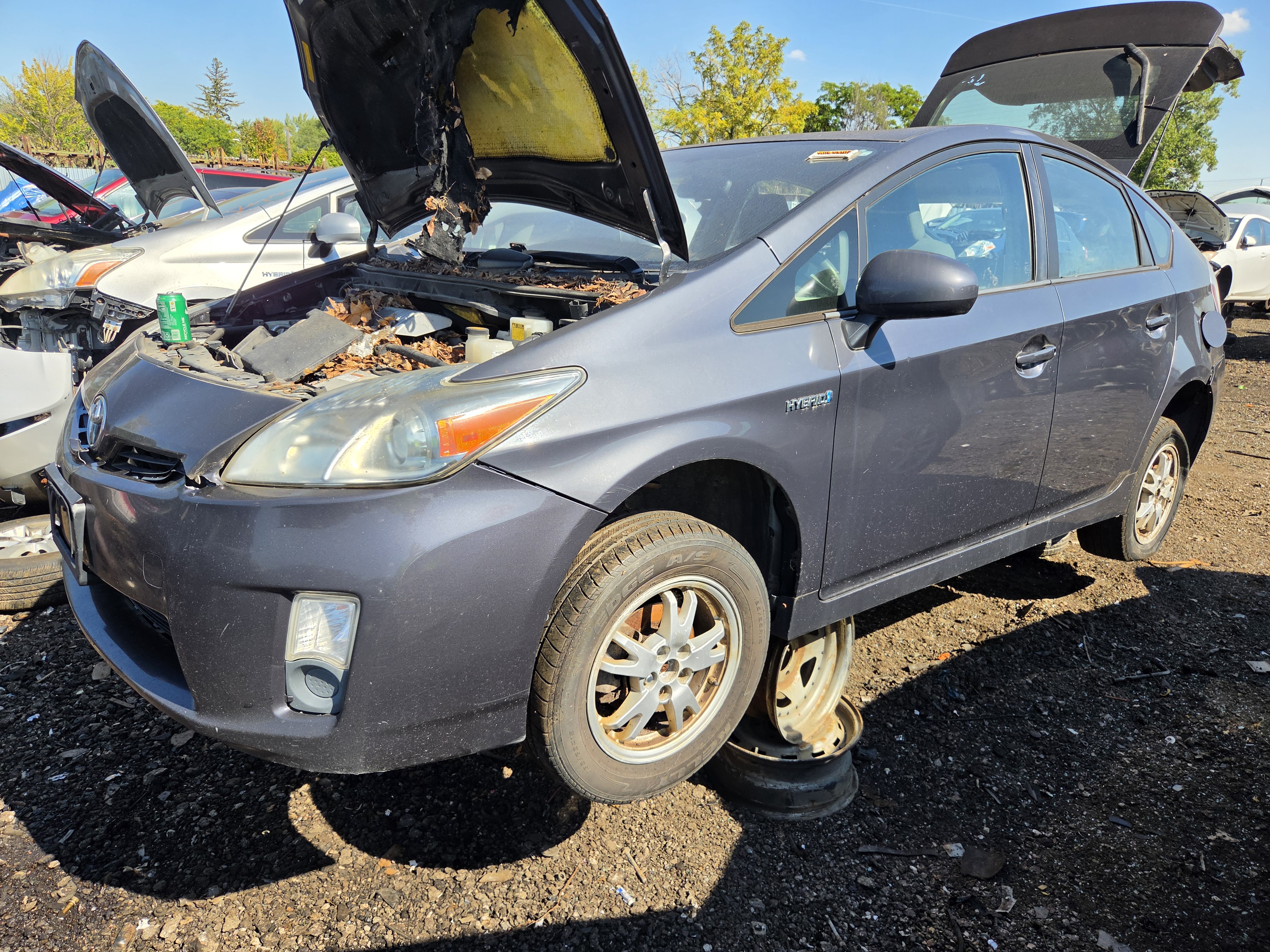 2010 TOYOTA Prius
