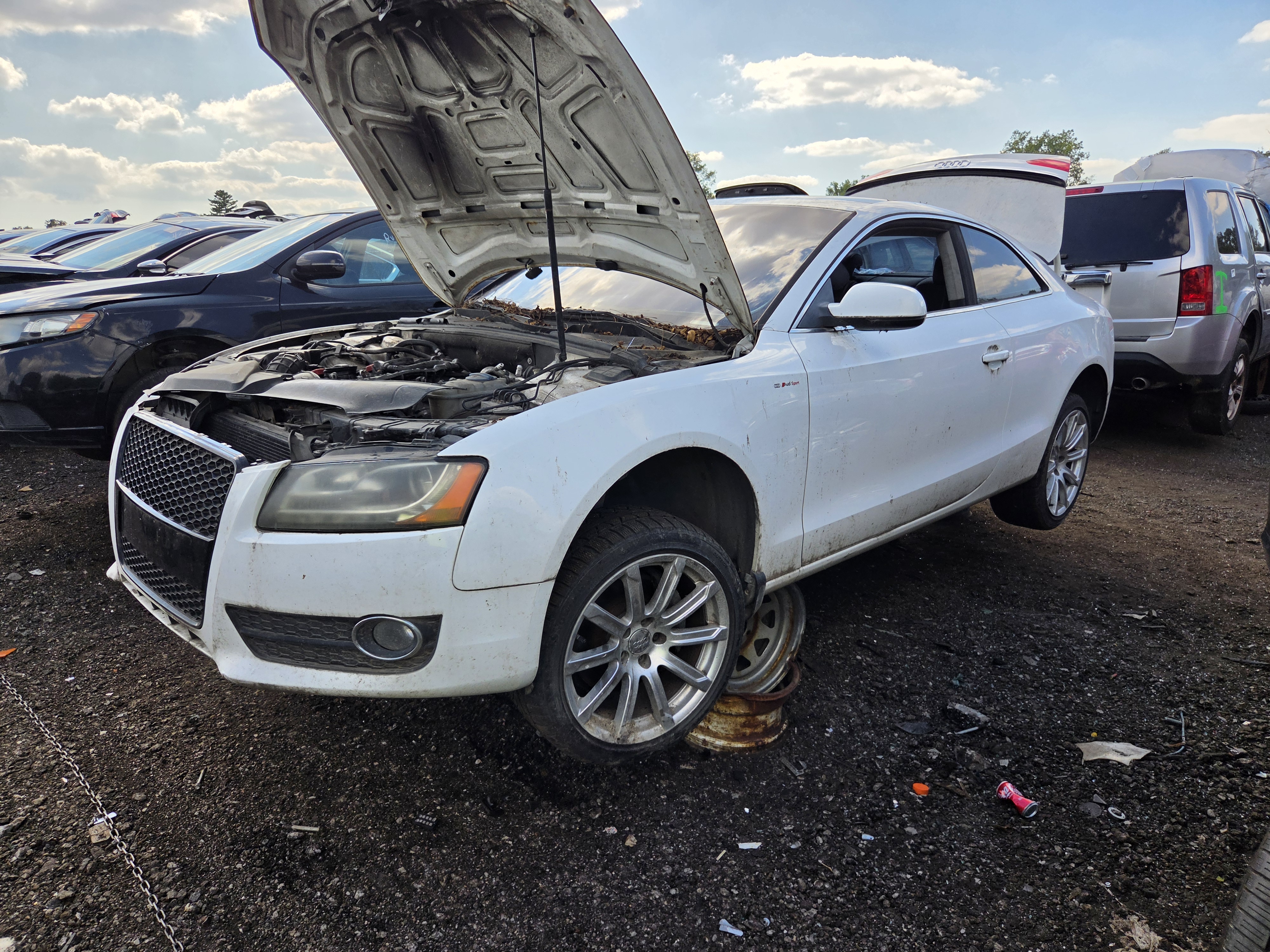 2011 AUDI A5