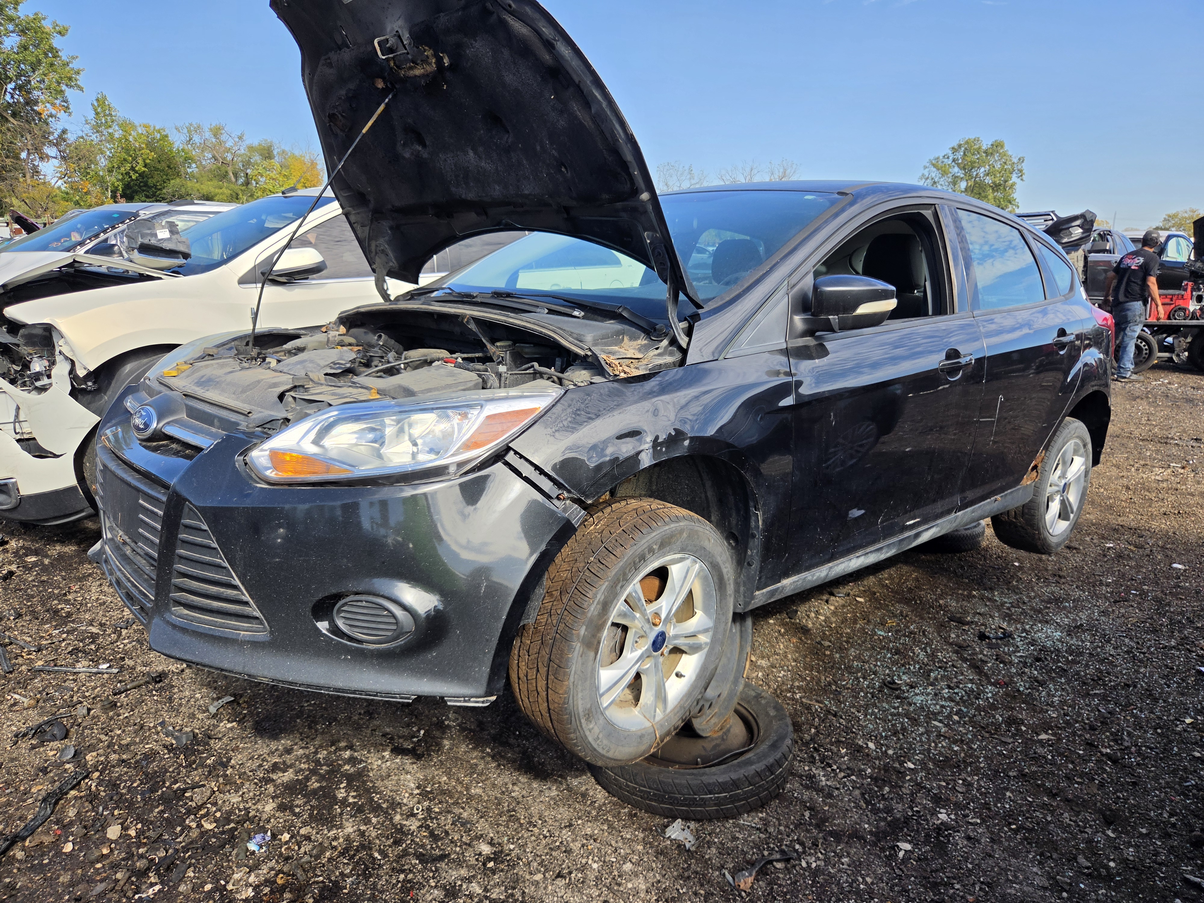 2014 FORD Focus