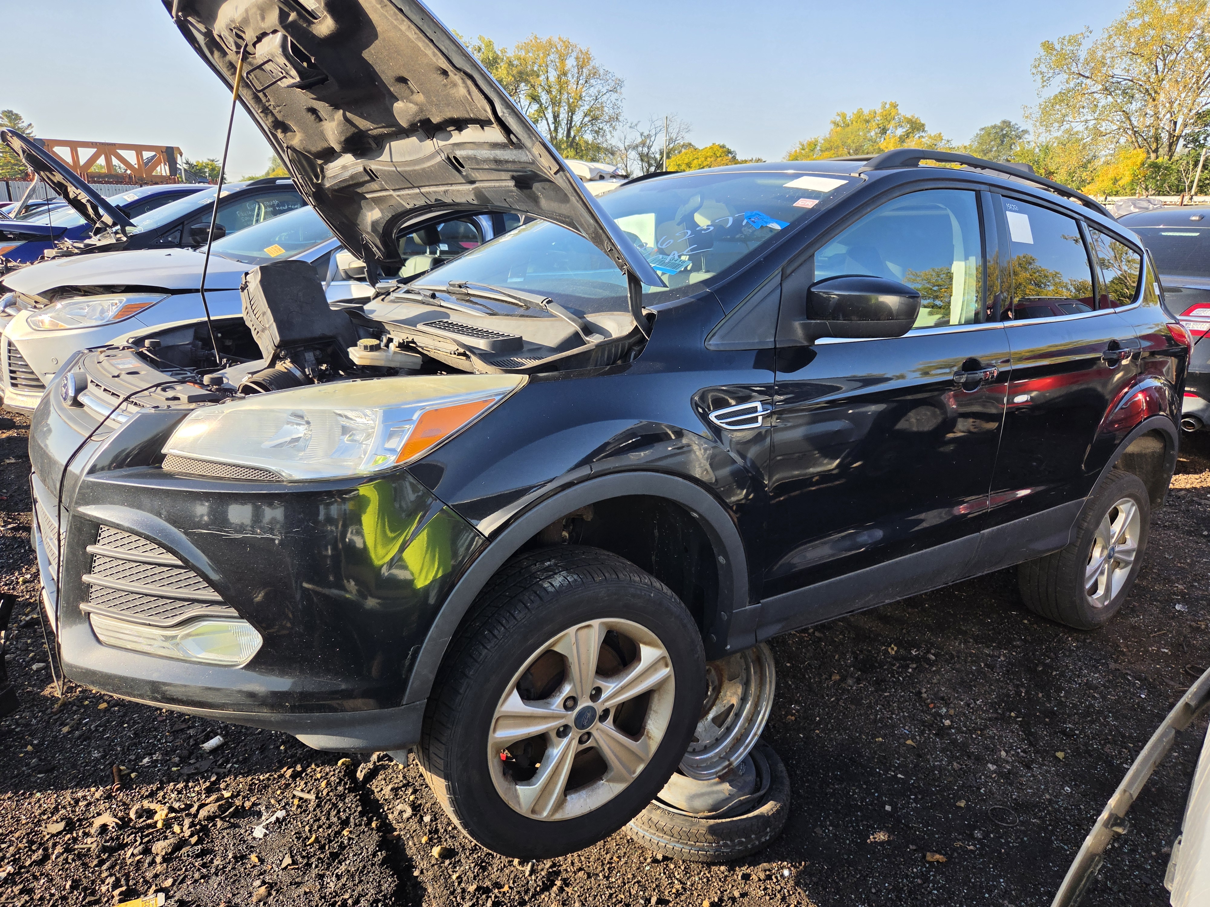 2013 FORD Escape