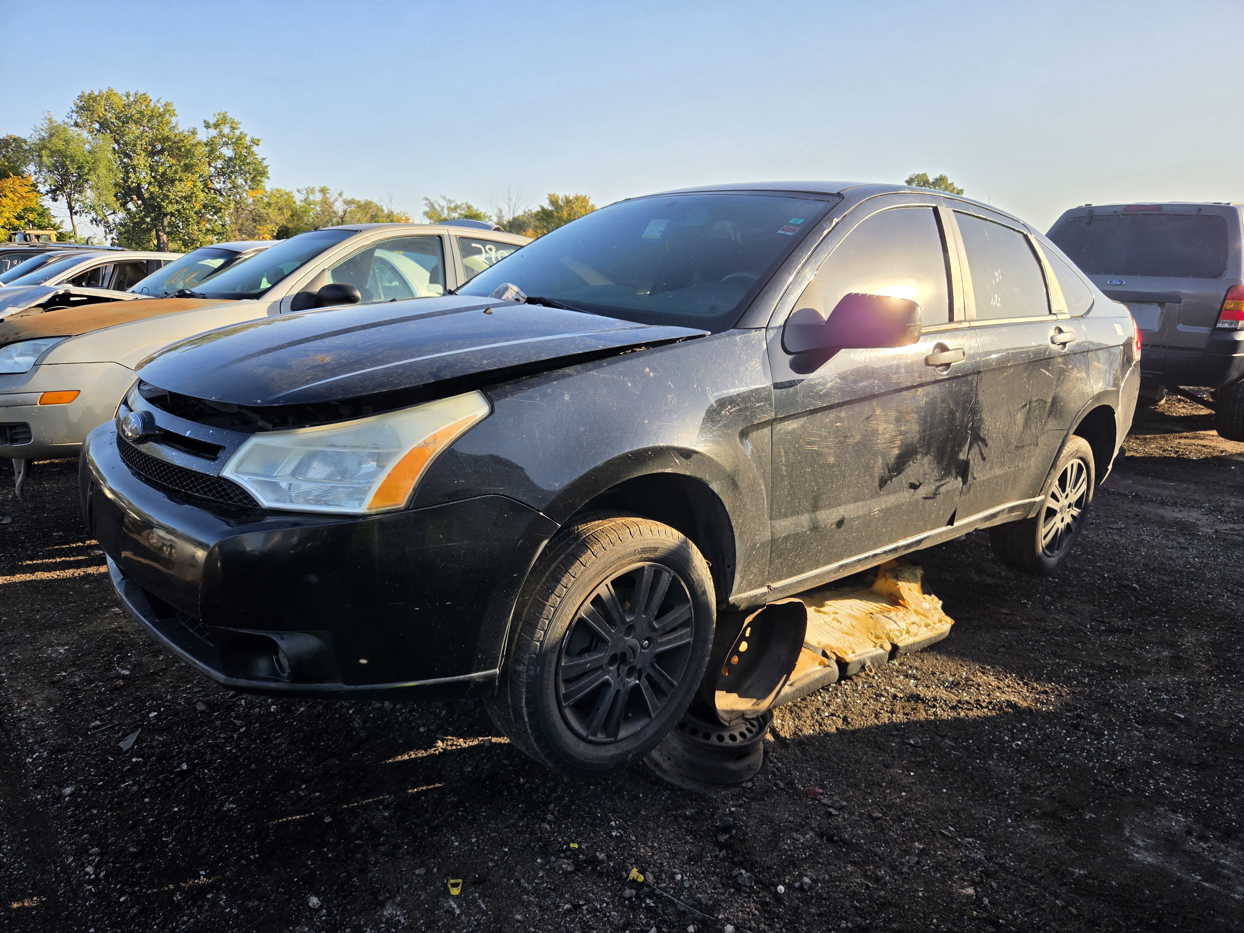 2010 FORD Focus