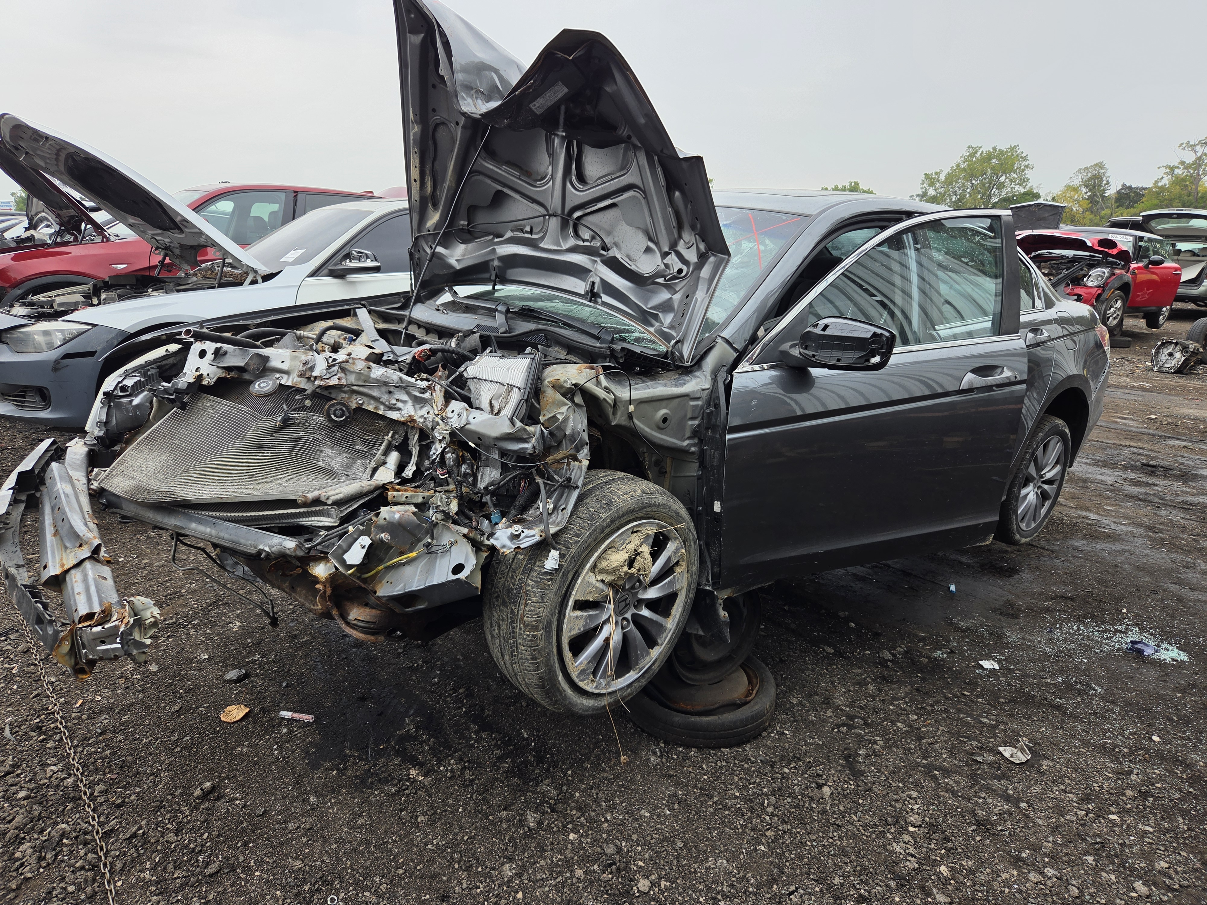 2011 HONDA Accord