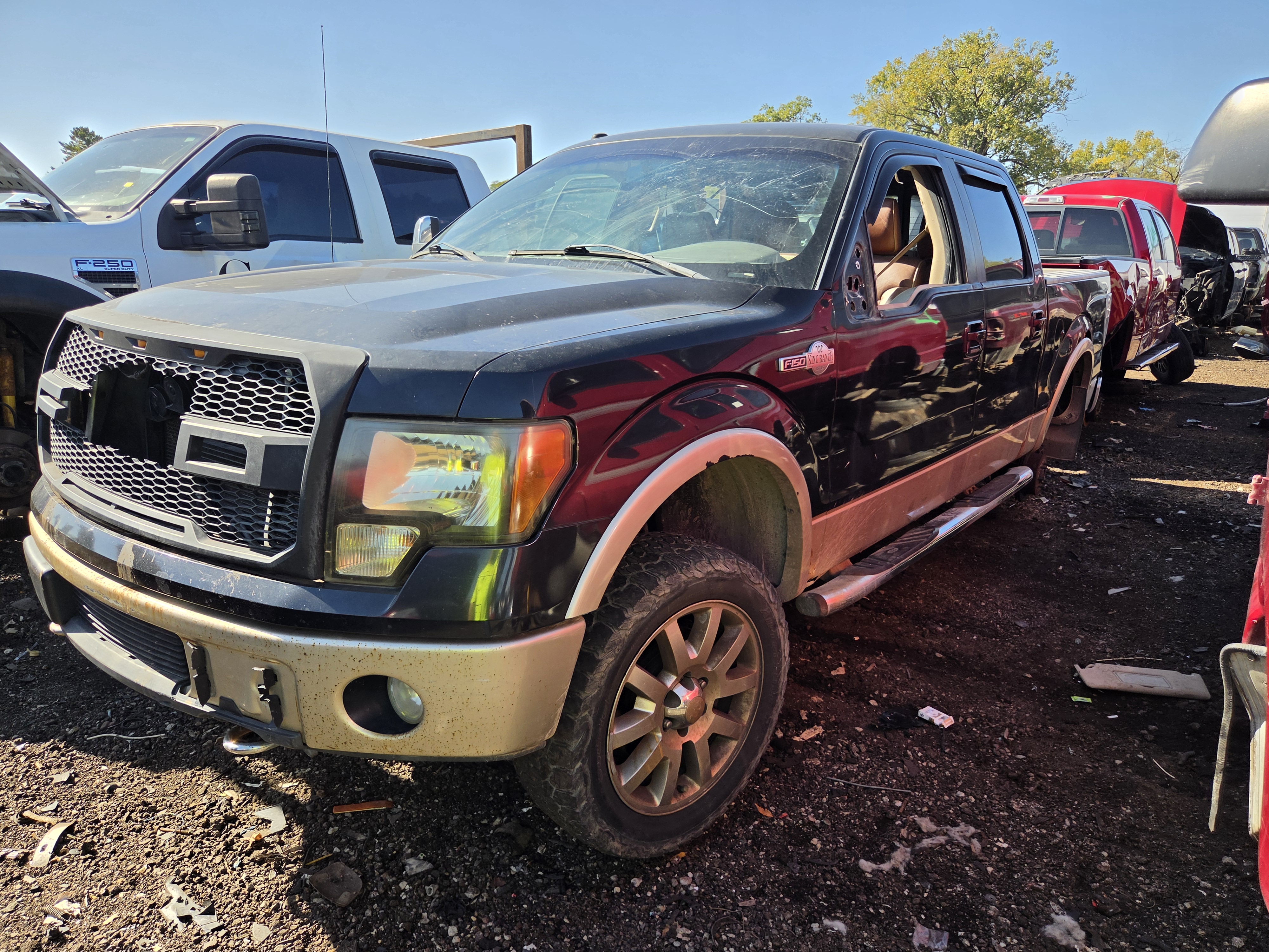 2010 FORD F-150