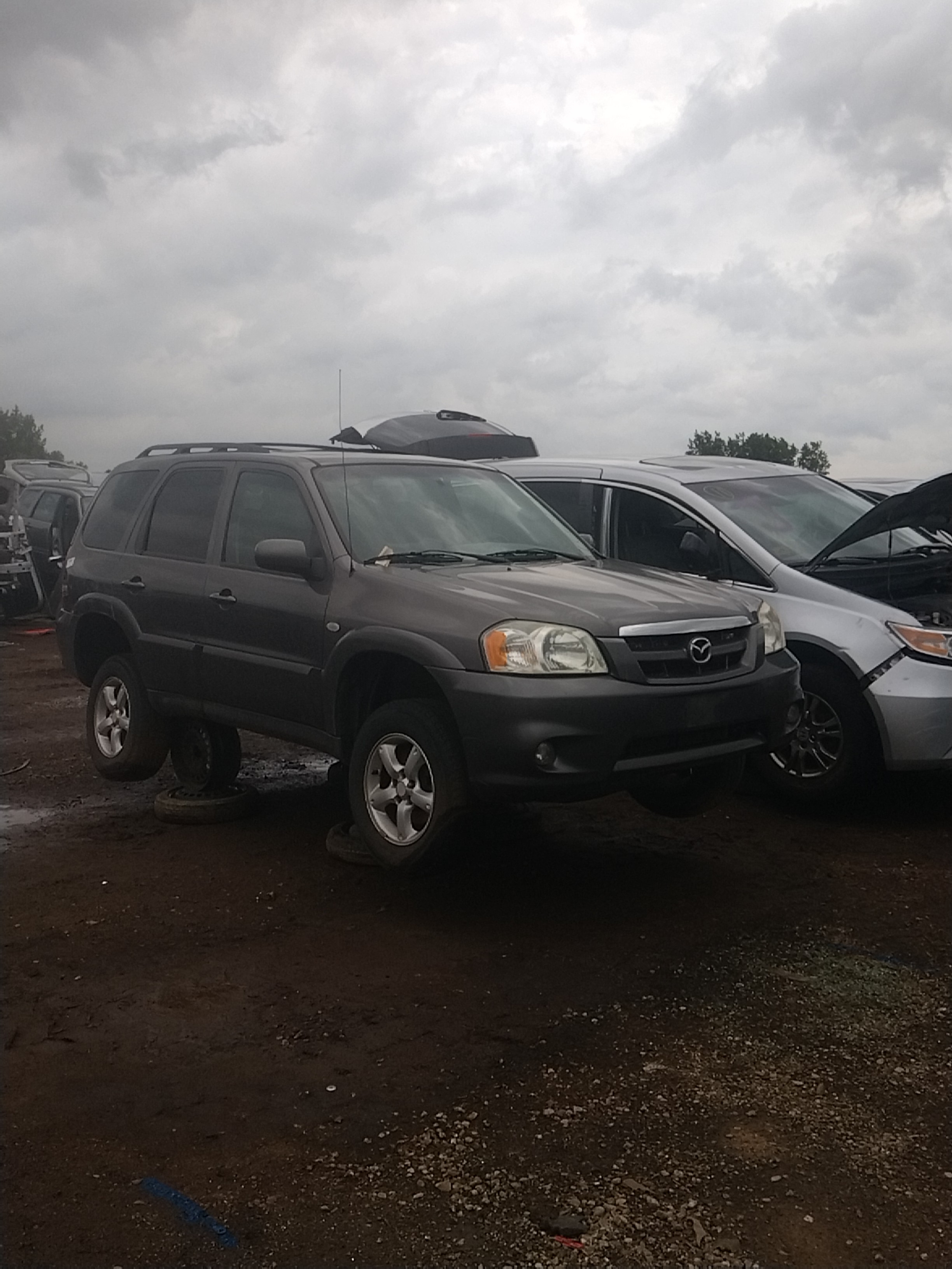 2006 MAZDA Tribute