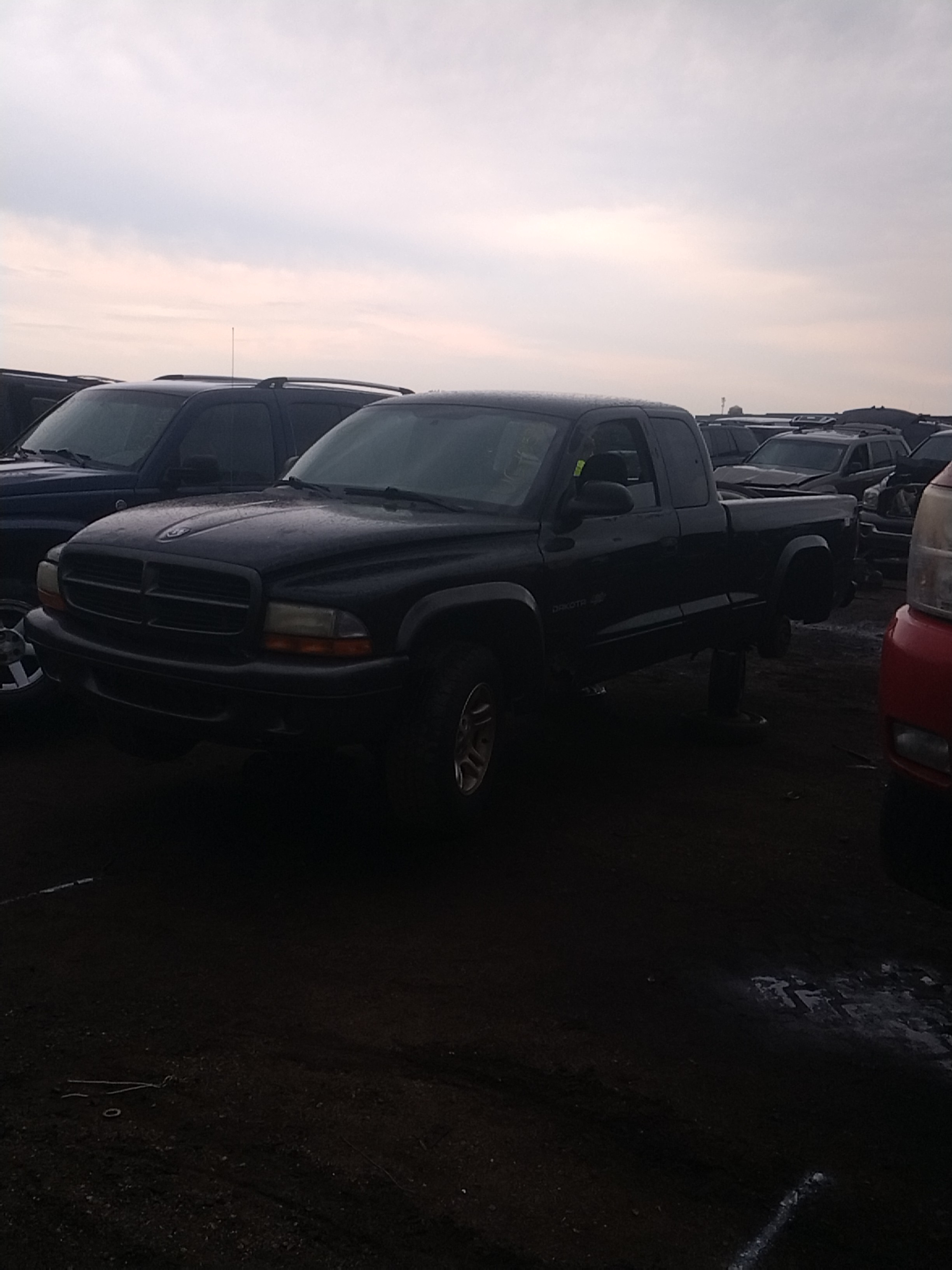 2002 DODGE Dakota