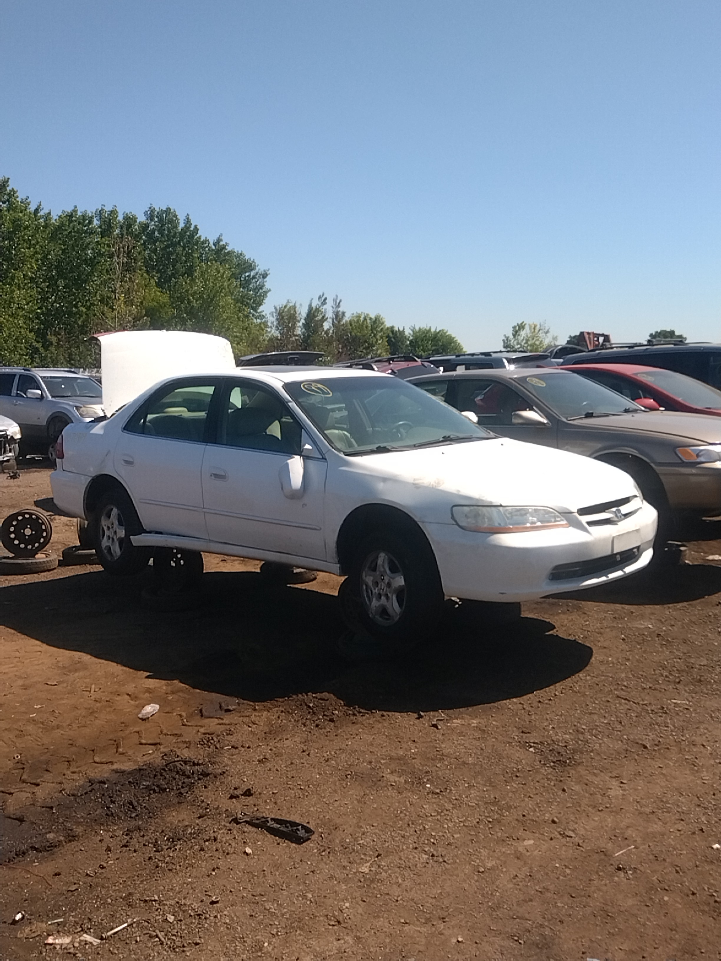 1999 HONDA Accord