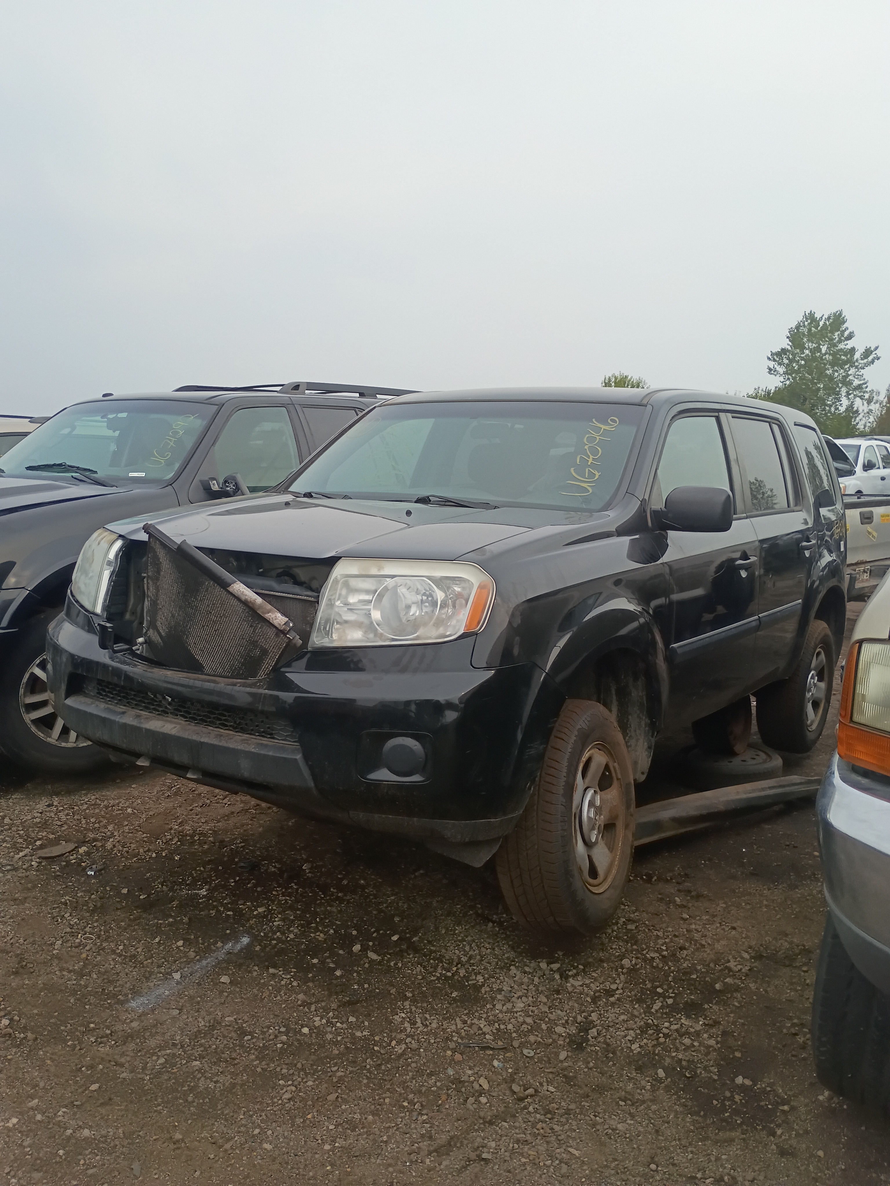 2011 HONDA Pilot