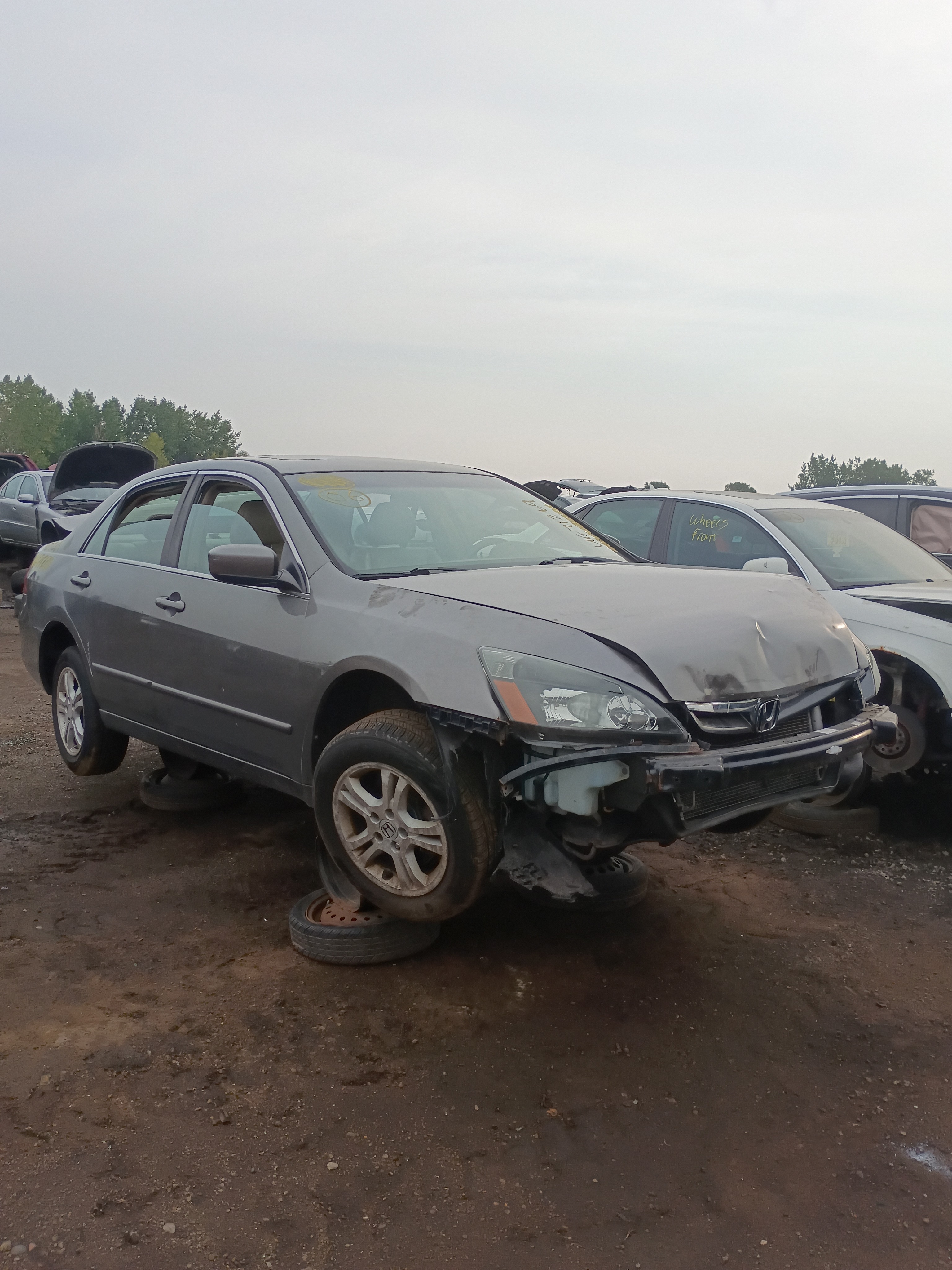 2006 HONDA Accord
