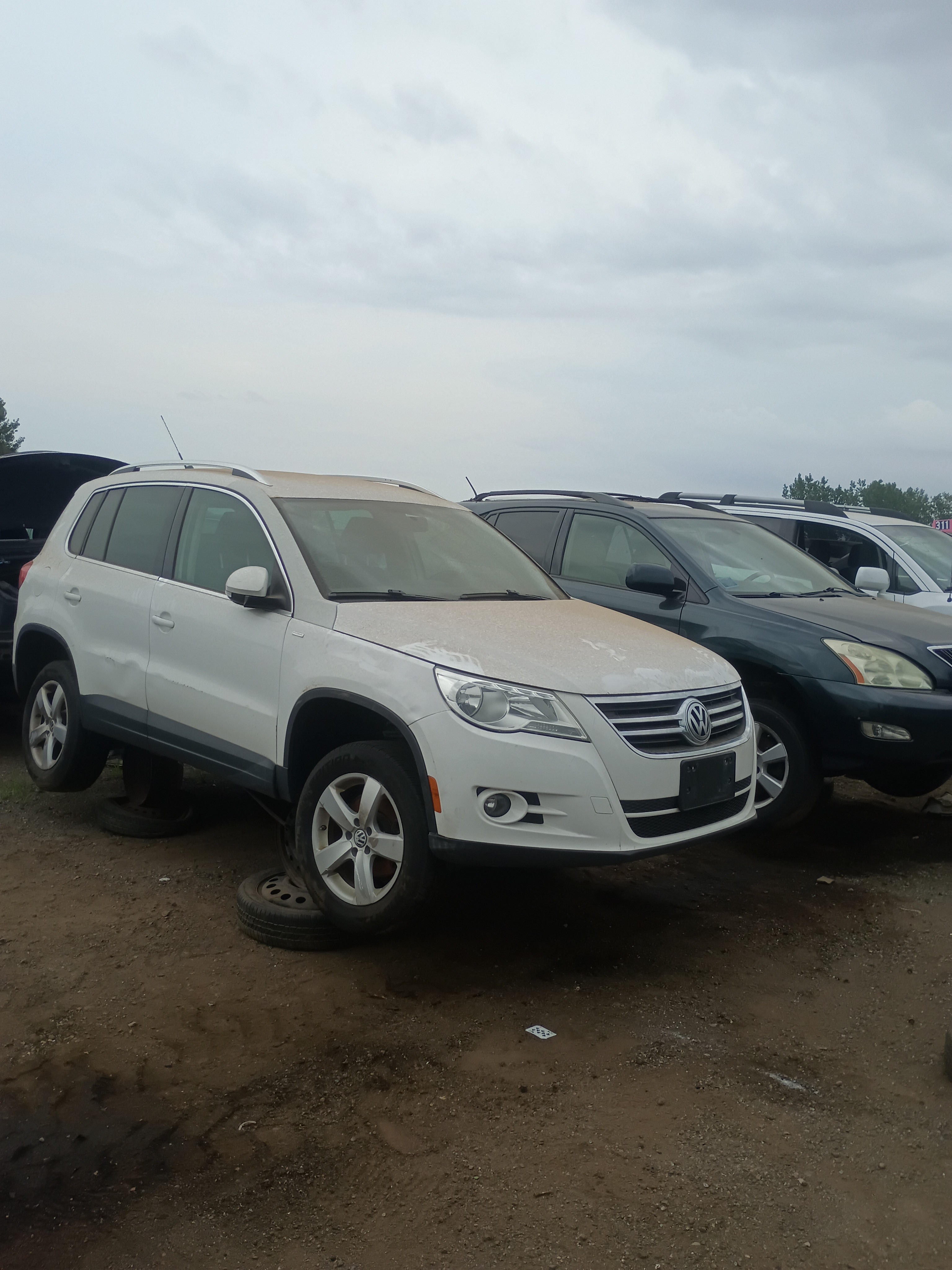 2010 VOLKSWAGEN Tiguan