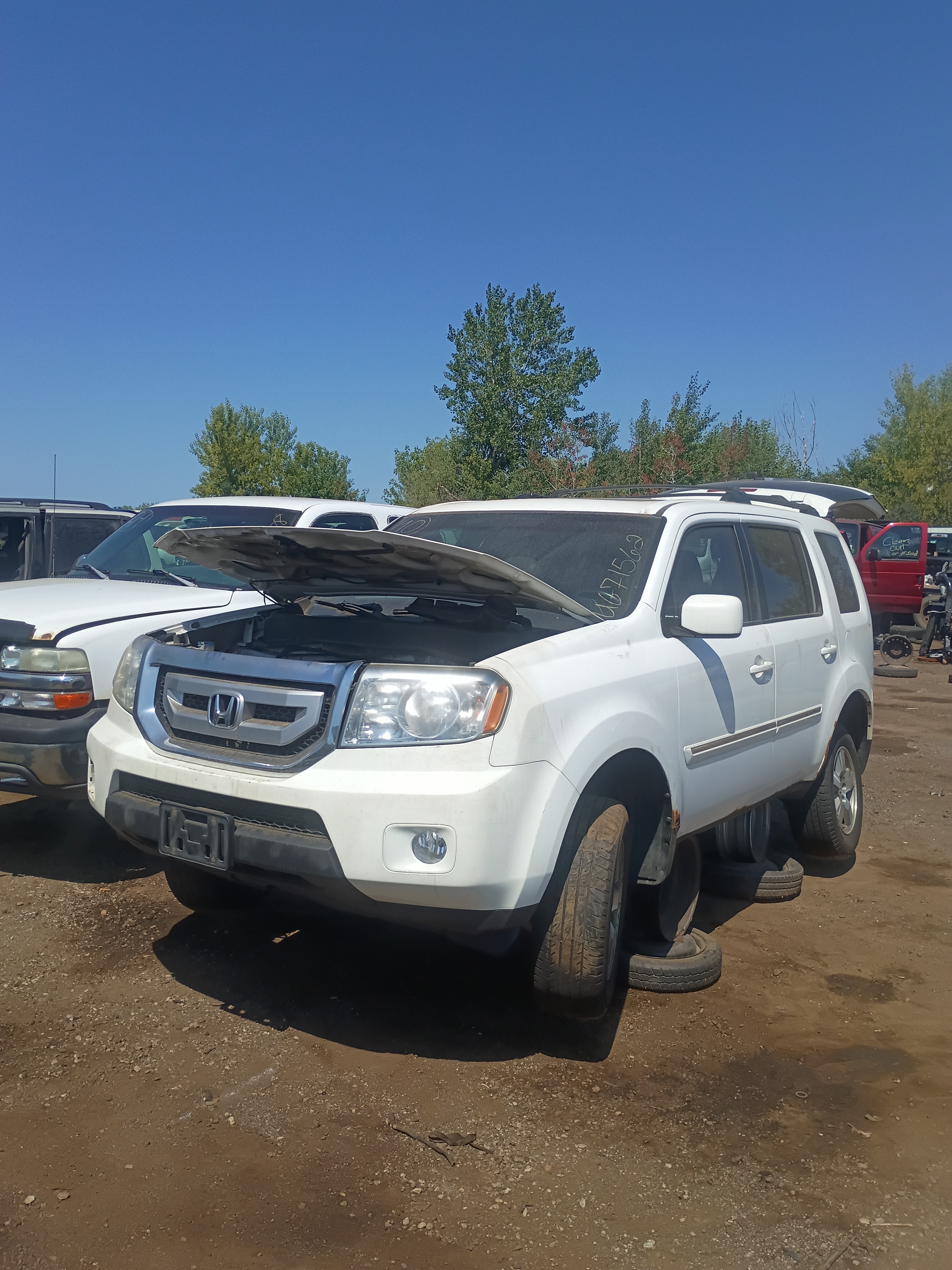 2010 HONDA Pilot