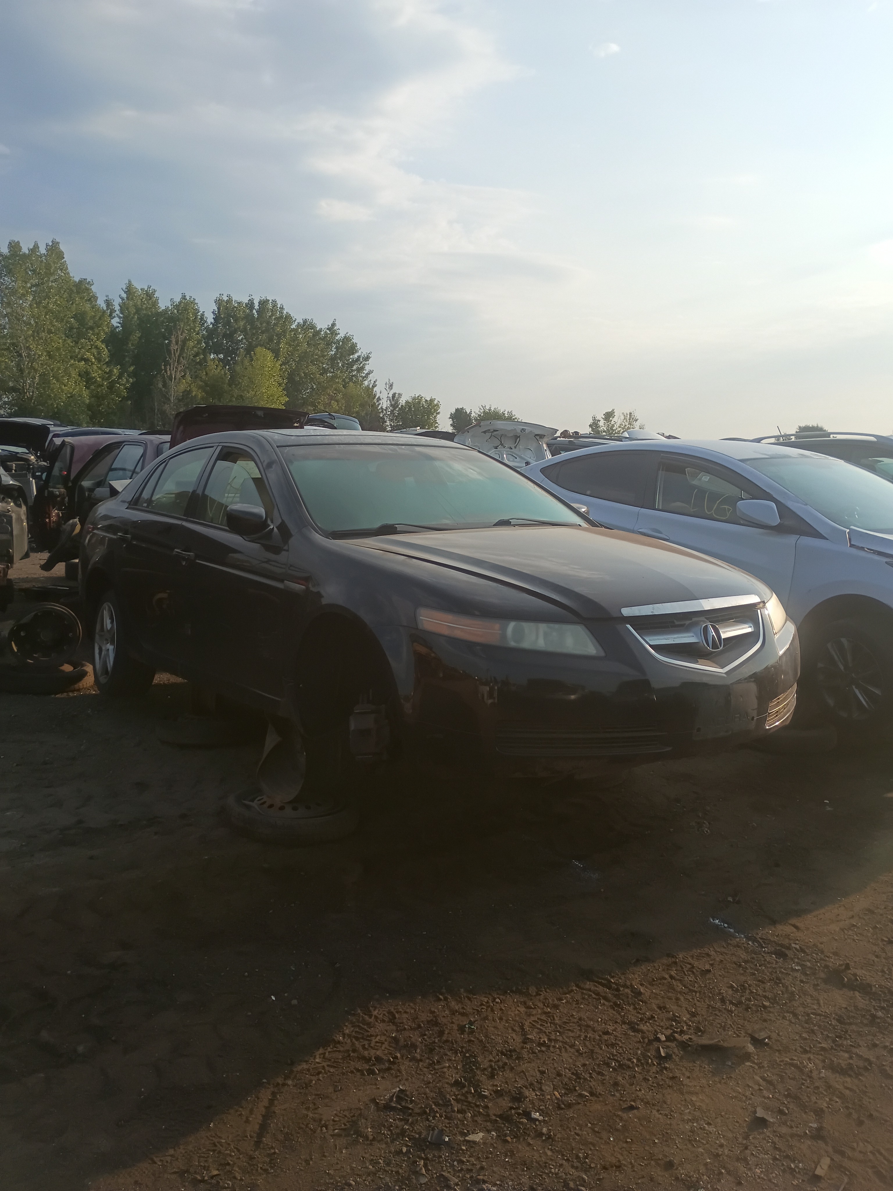 2006 ACURA Tl