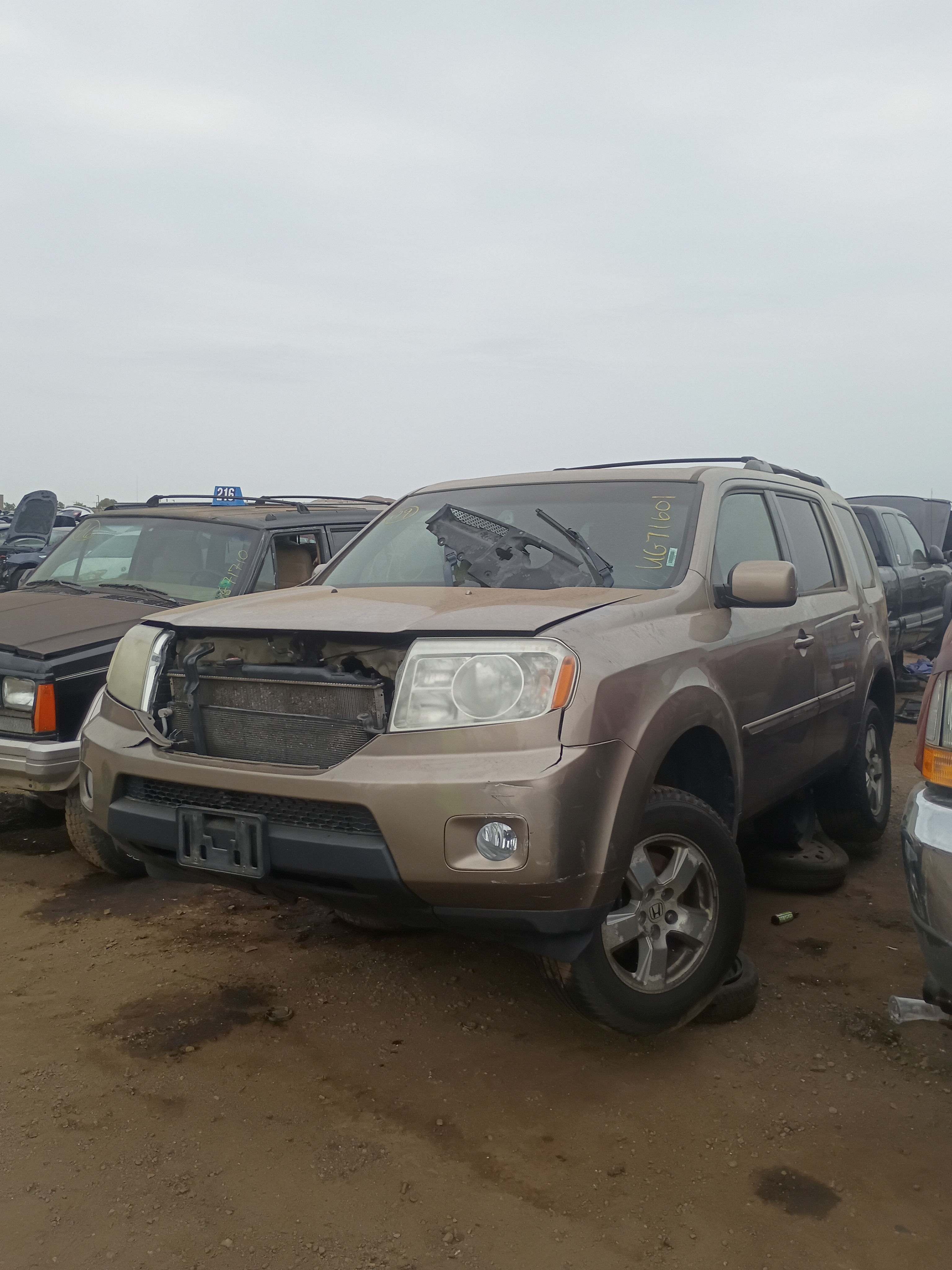 2009 HONDA Pilot
