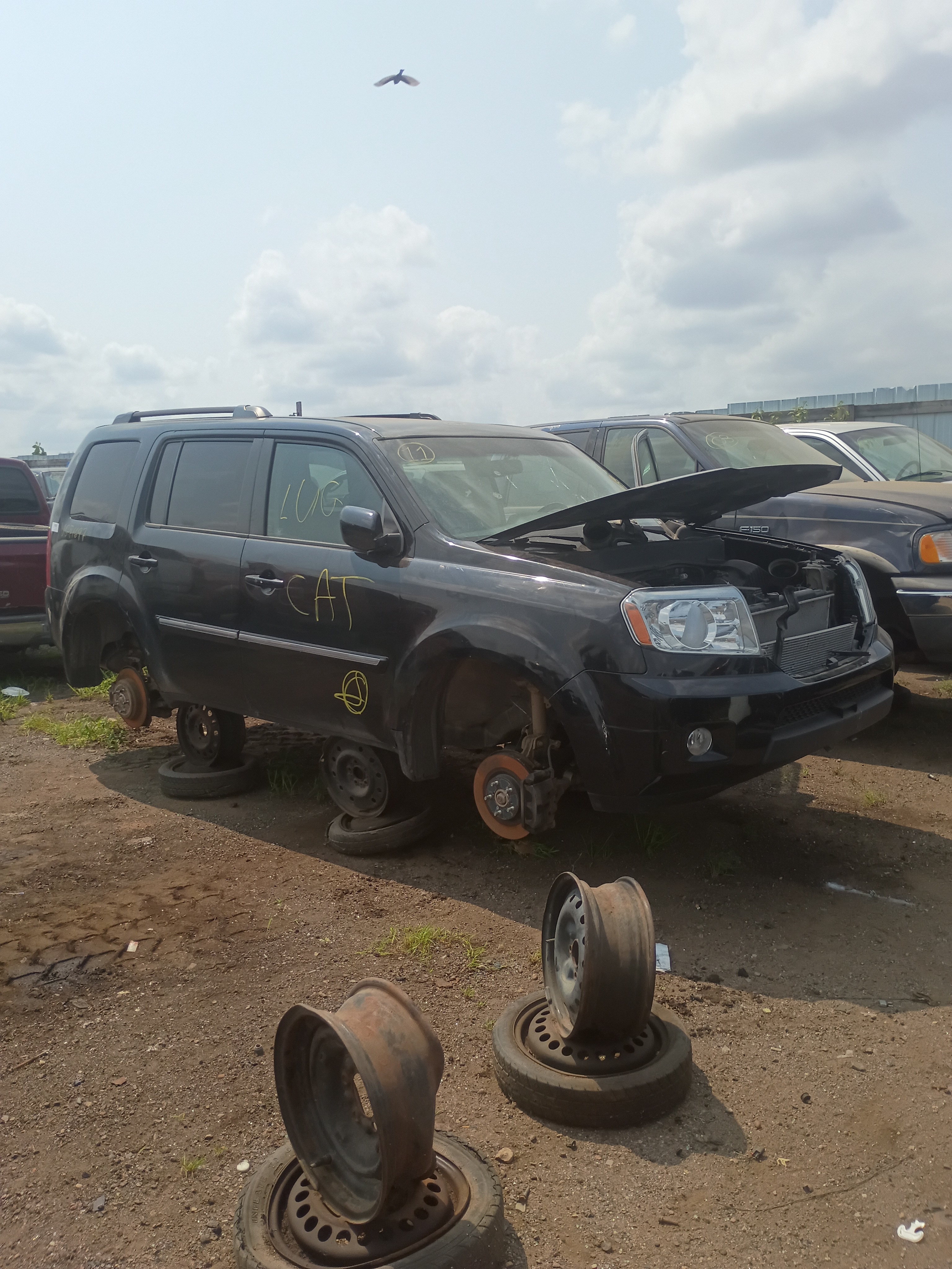 2011 HONDA Pilot