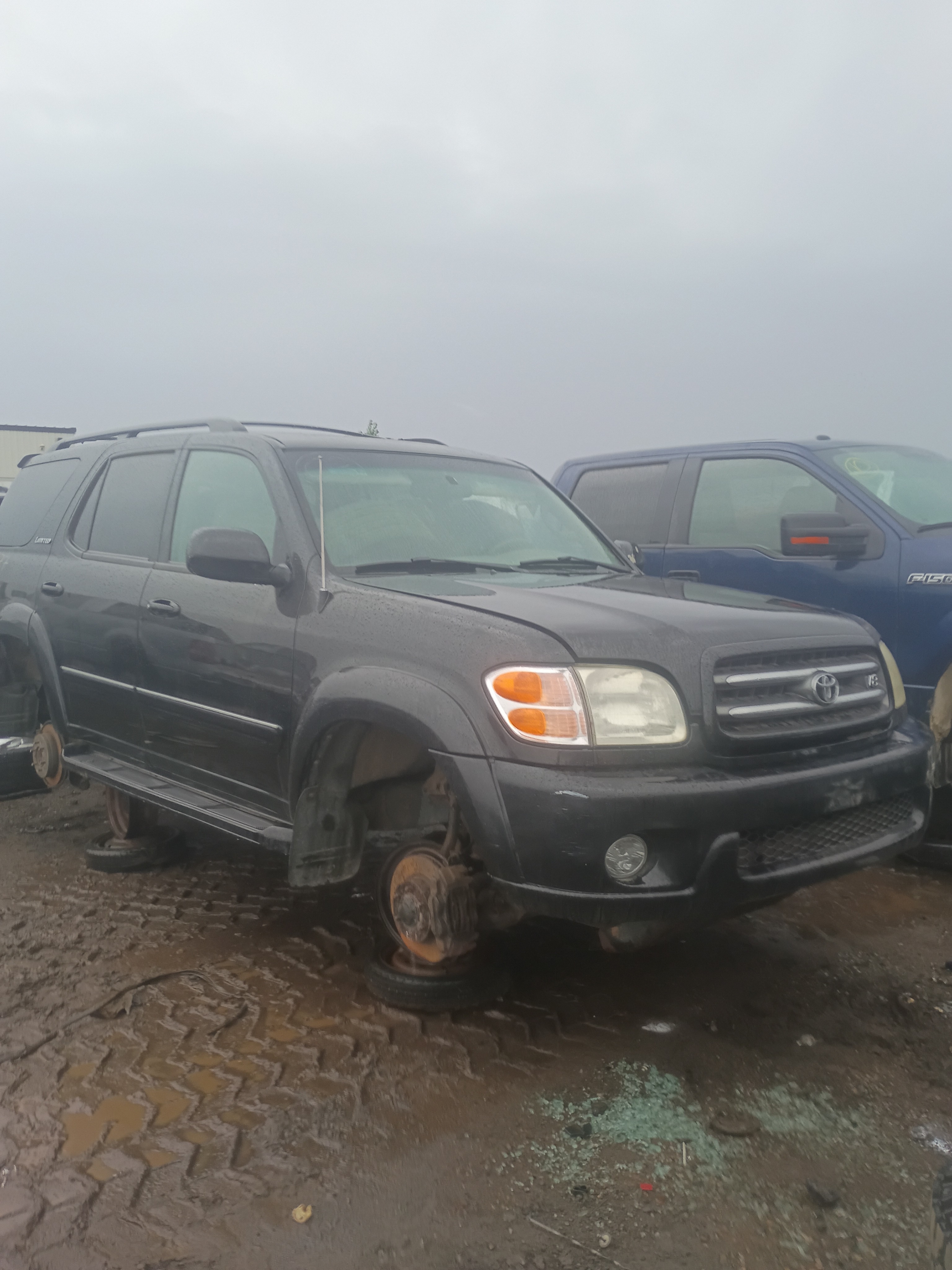 2003 TOYOTA Sequoia