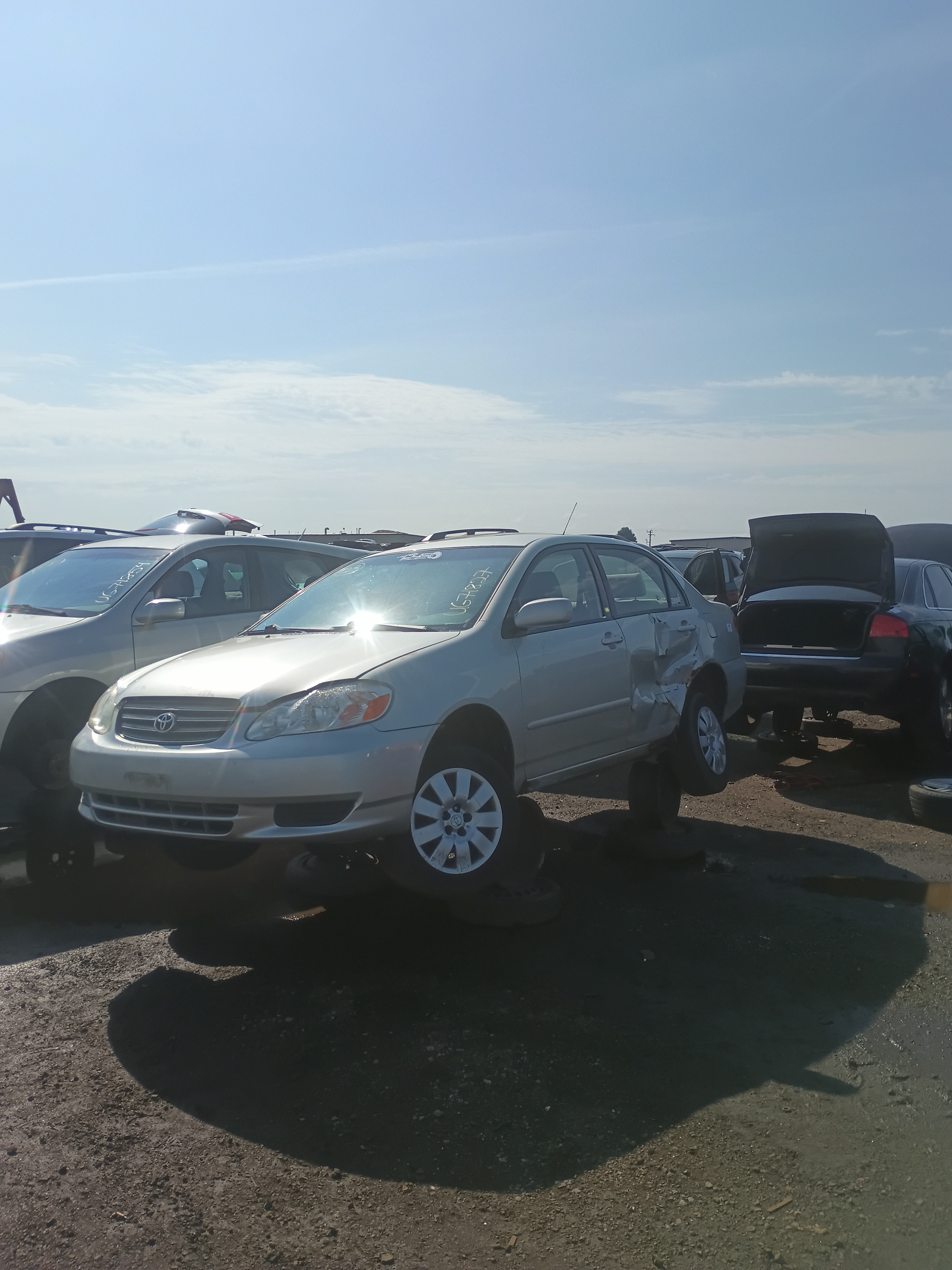 2003 TOYOTA Corolla