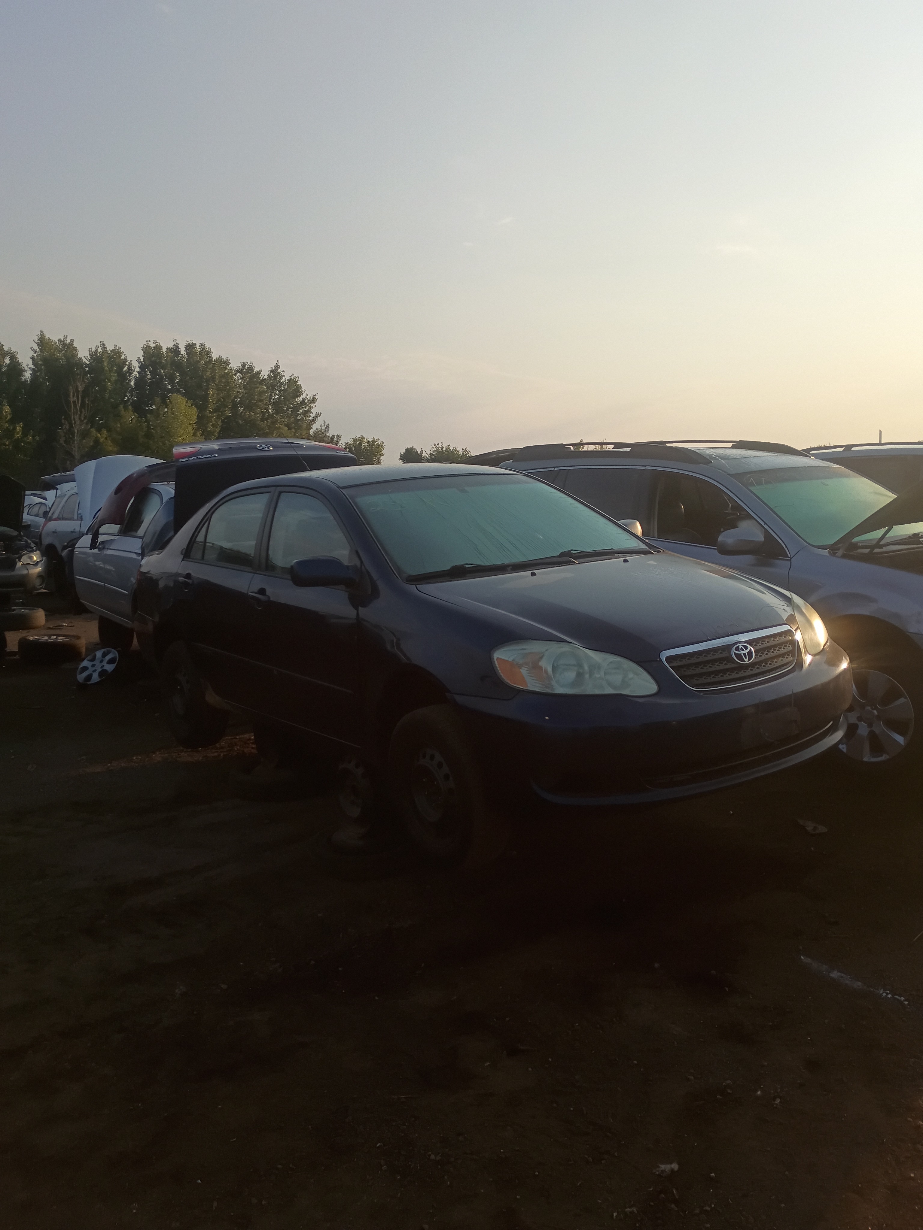 2005 TOYOTA Corolla