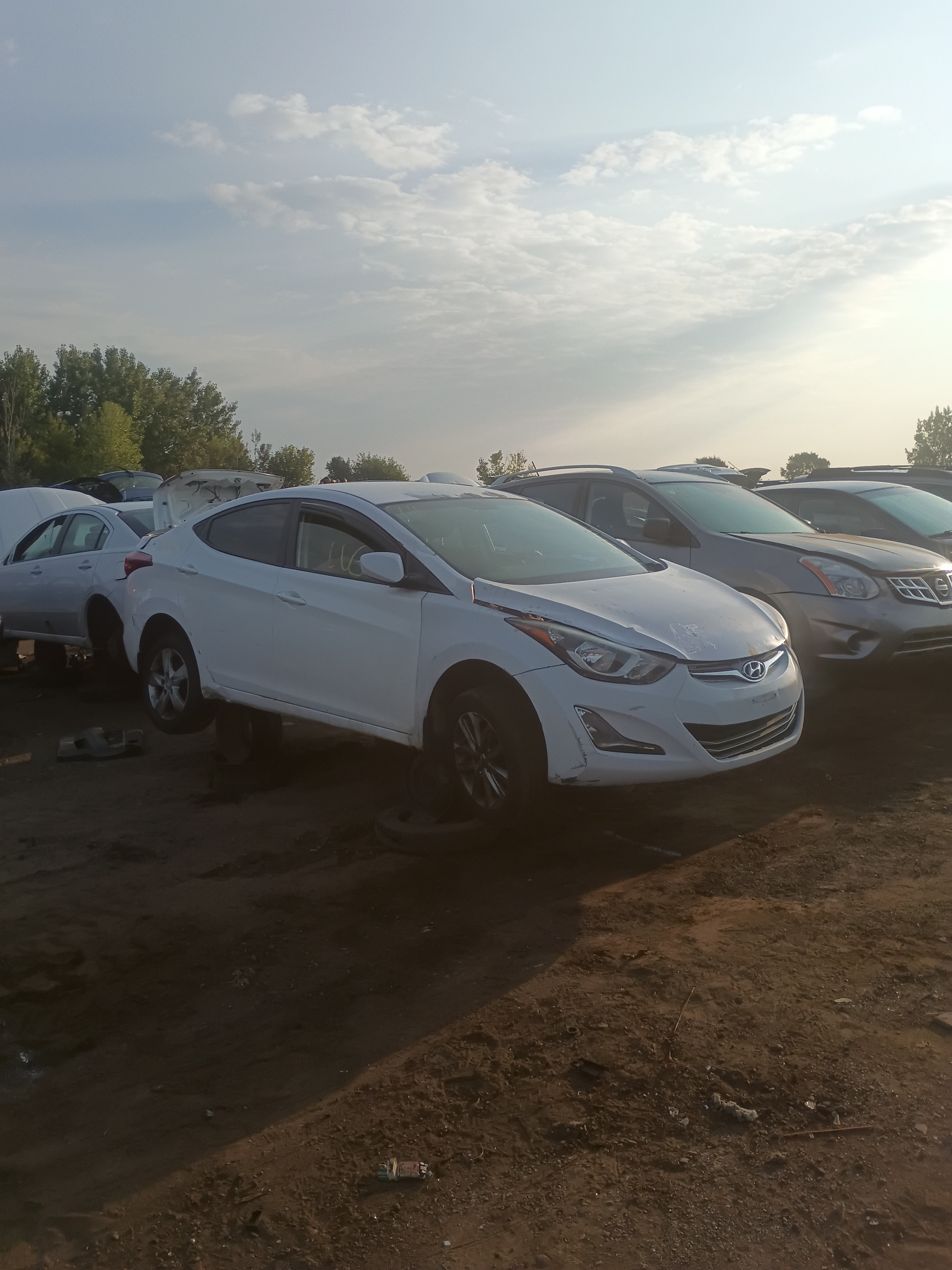 2014 HYUNDAI Elantra
