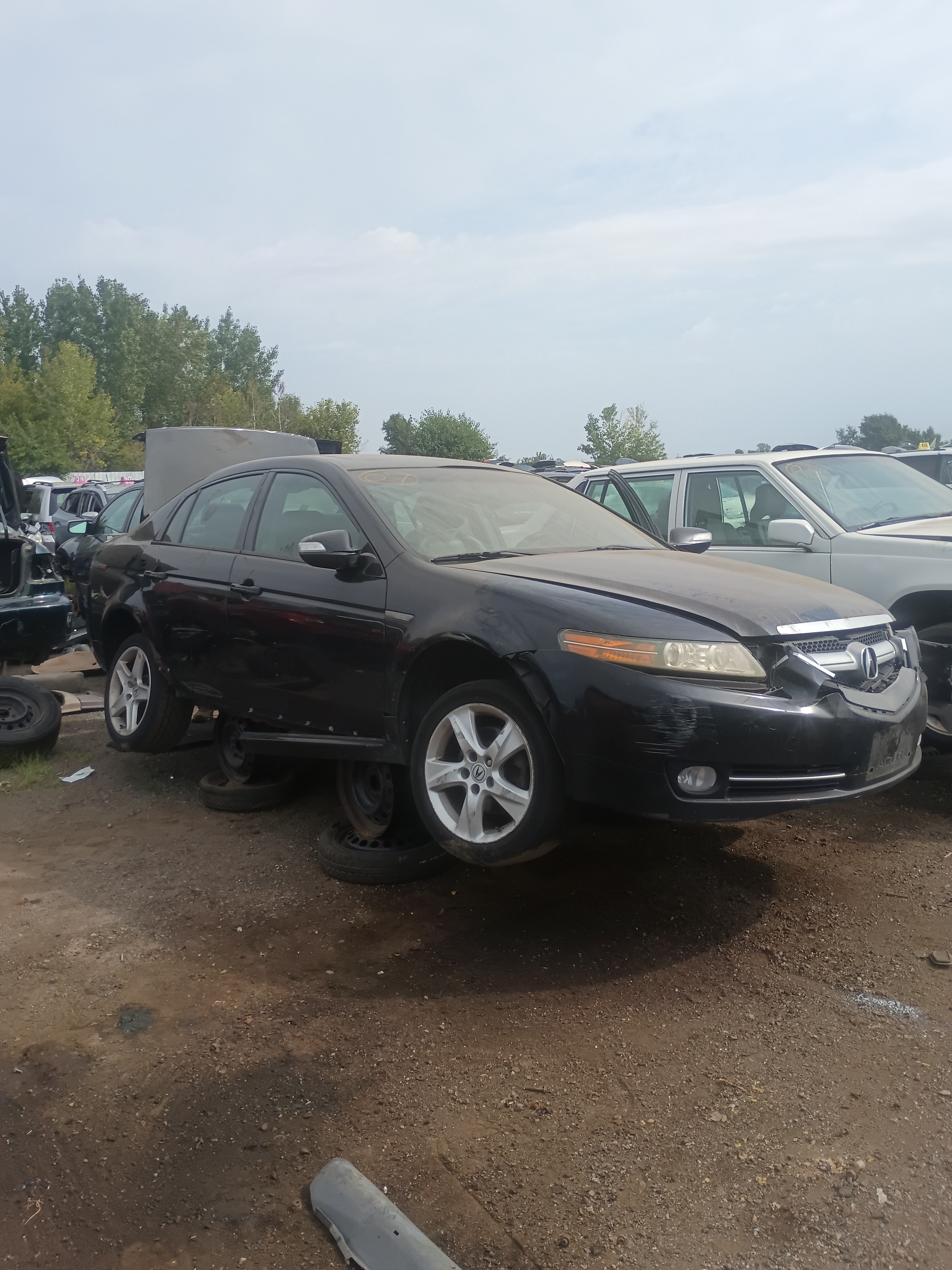 2007 ACURA Tl