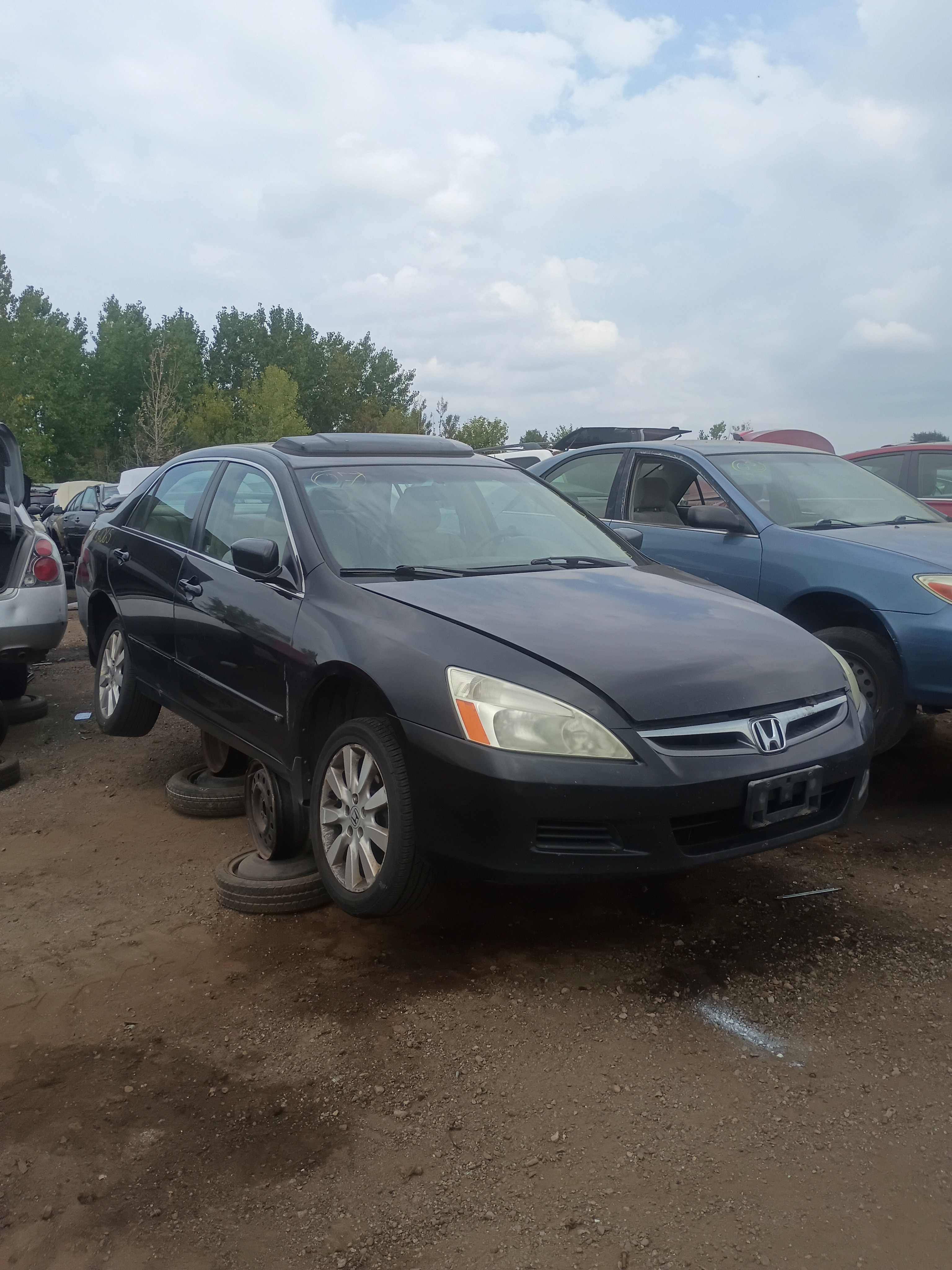 2007 HONDA Accord