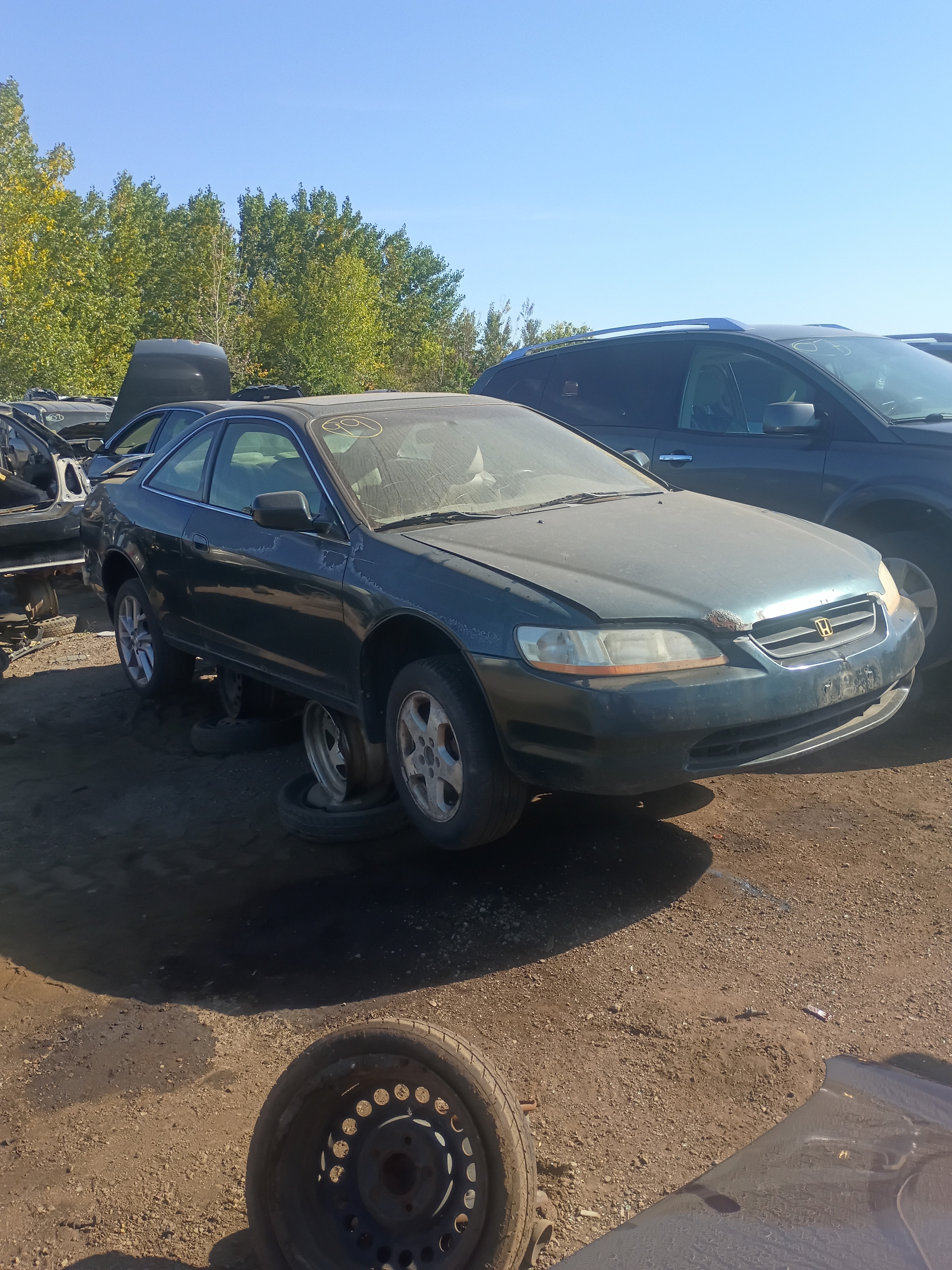 1999 HONDA Accord