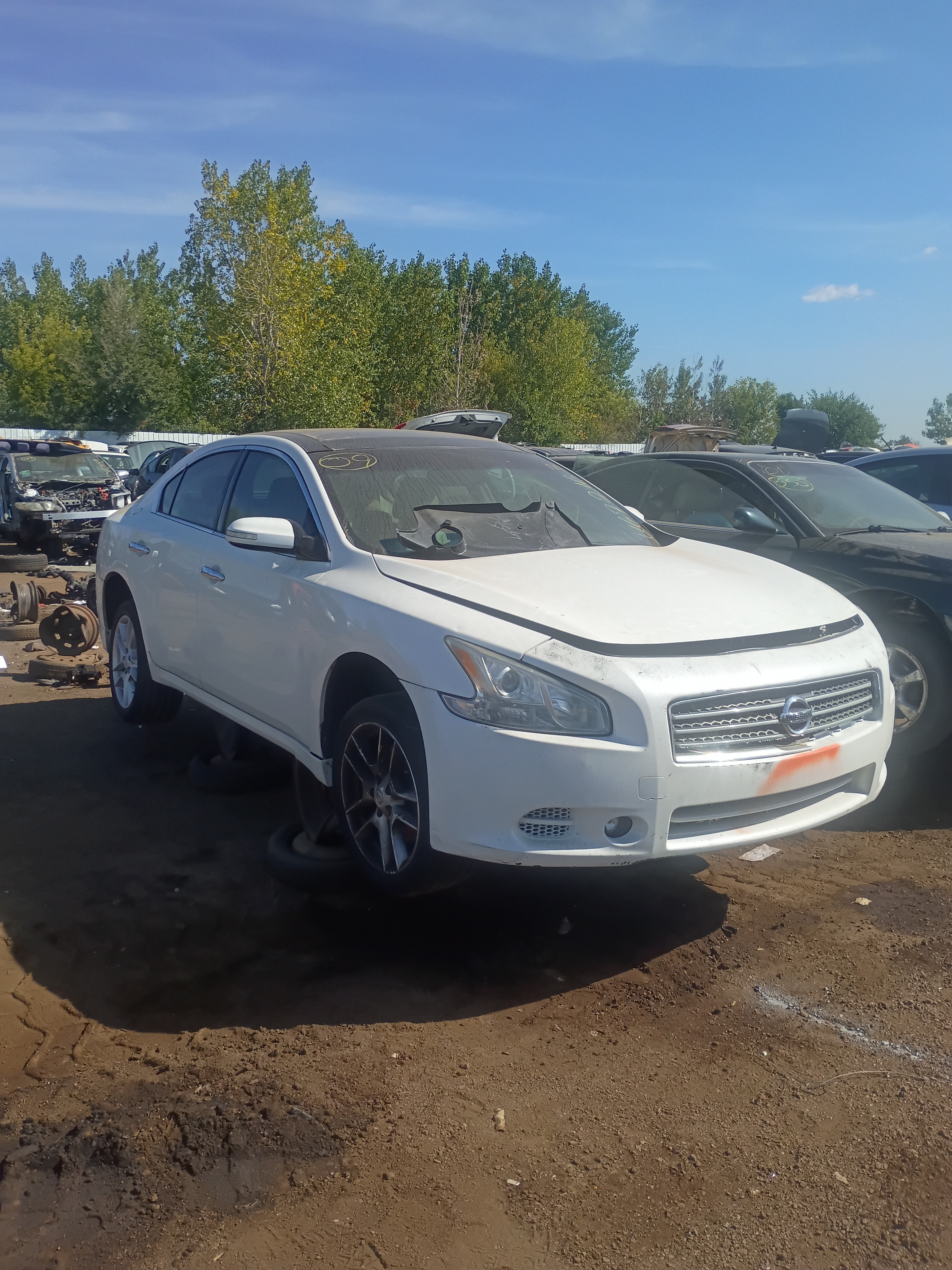 2009 NISSAN Maxima
