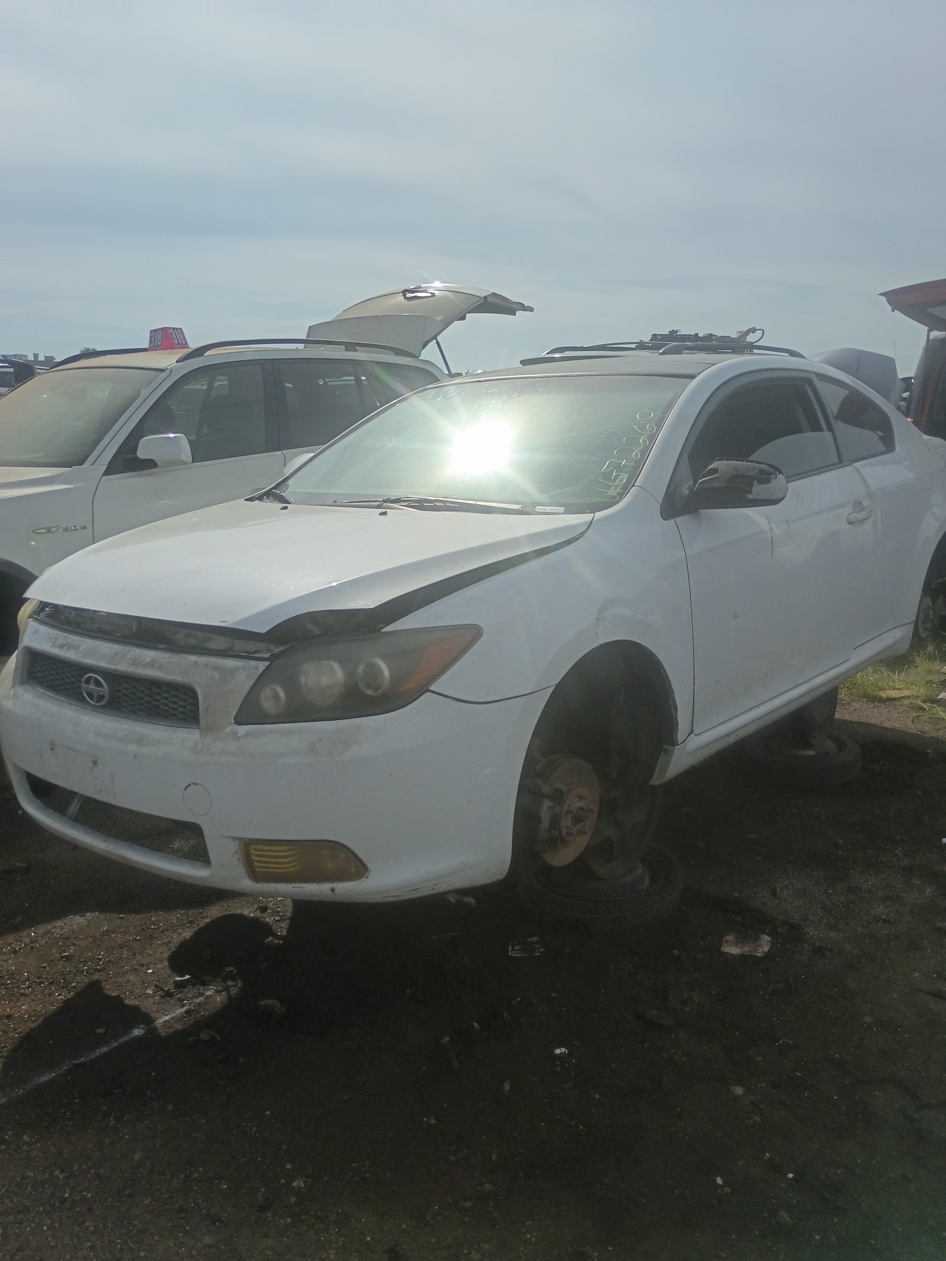 2008 TOYOTA Scion tC