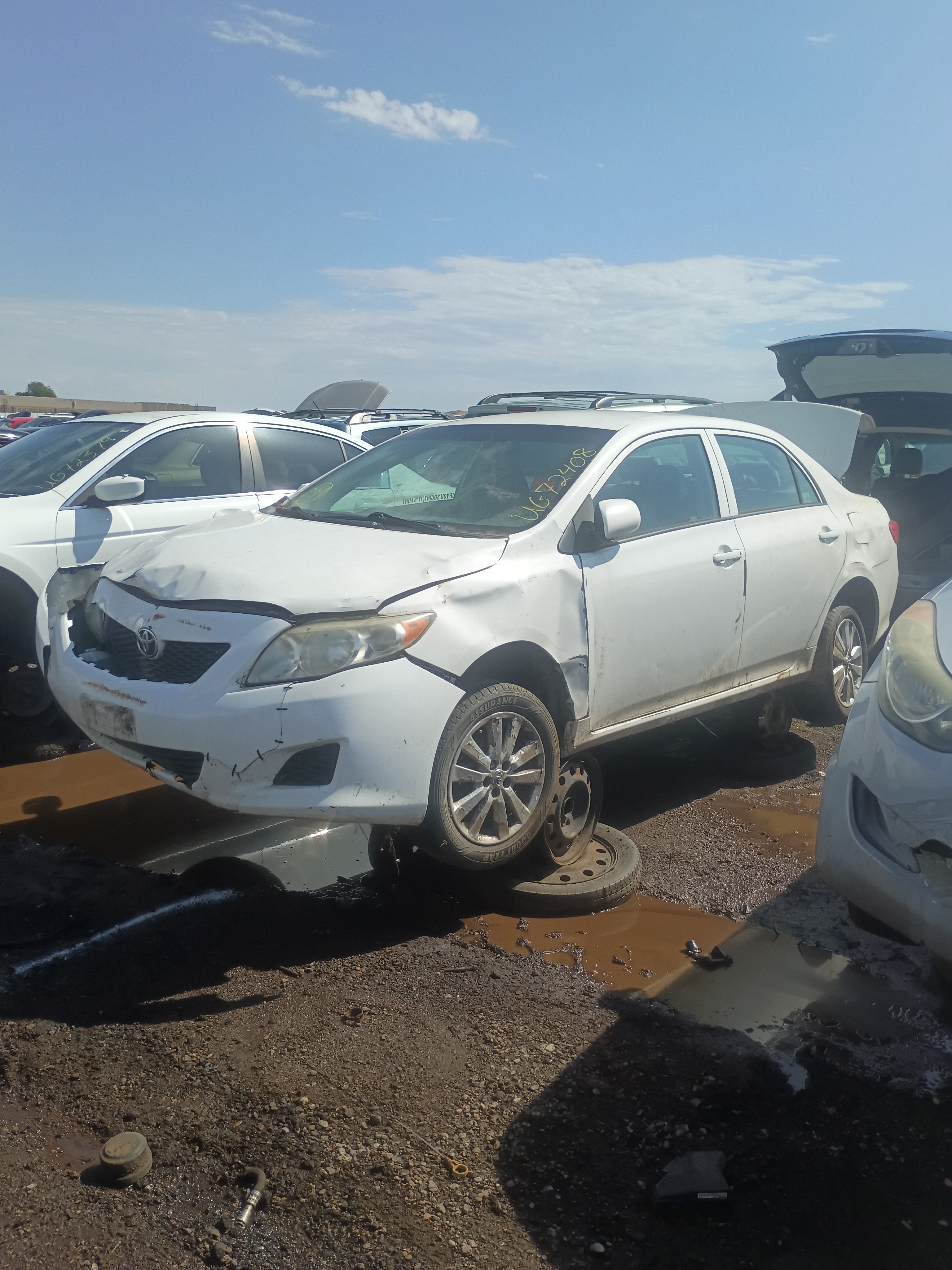 2009 TOYOTA Corolla
