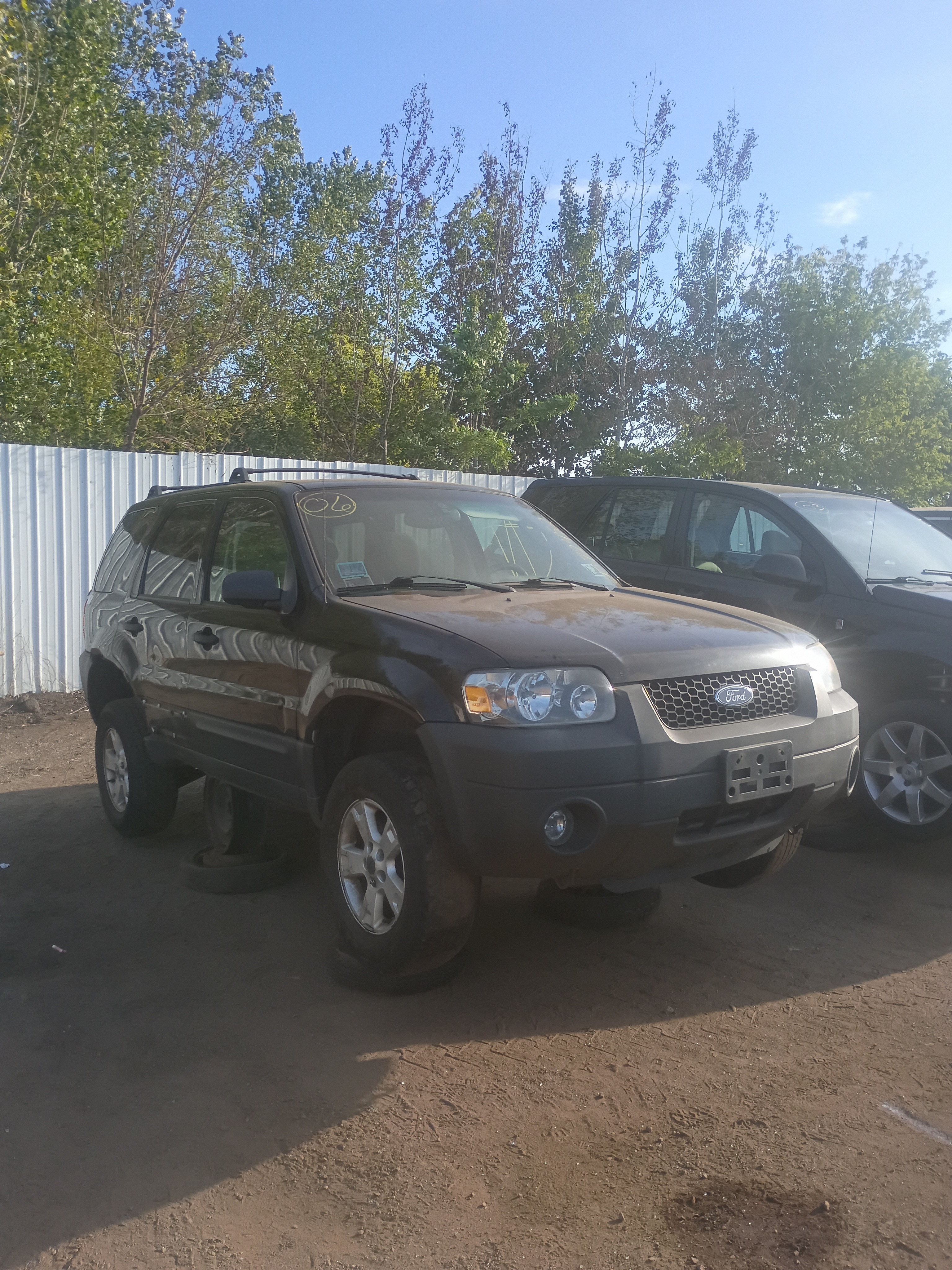 2006 FORD Escape