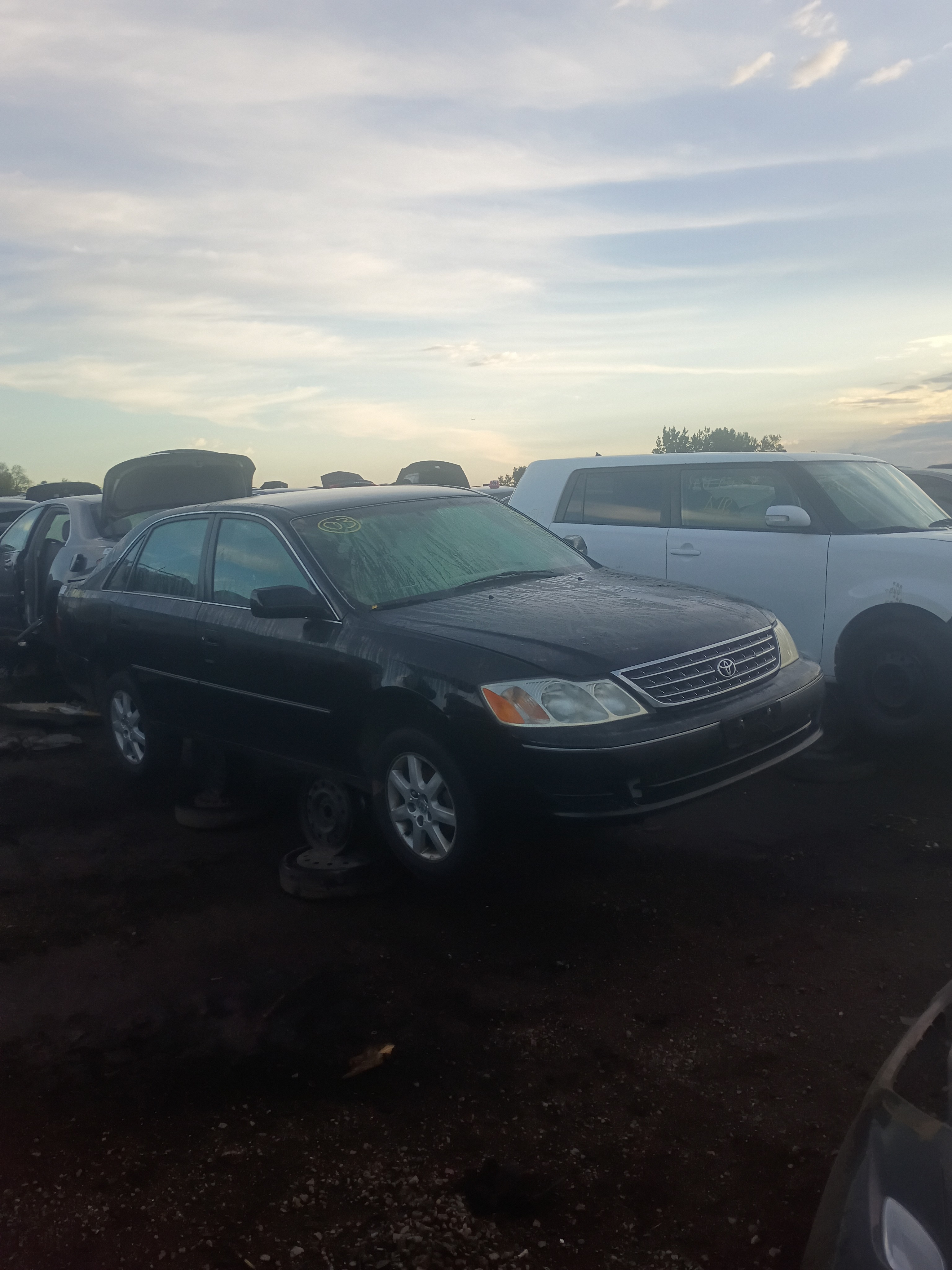 2003 TOYOTA Avalon