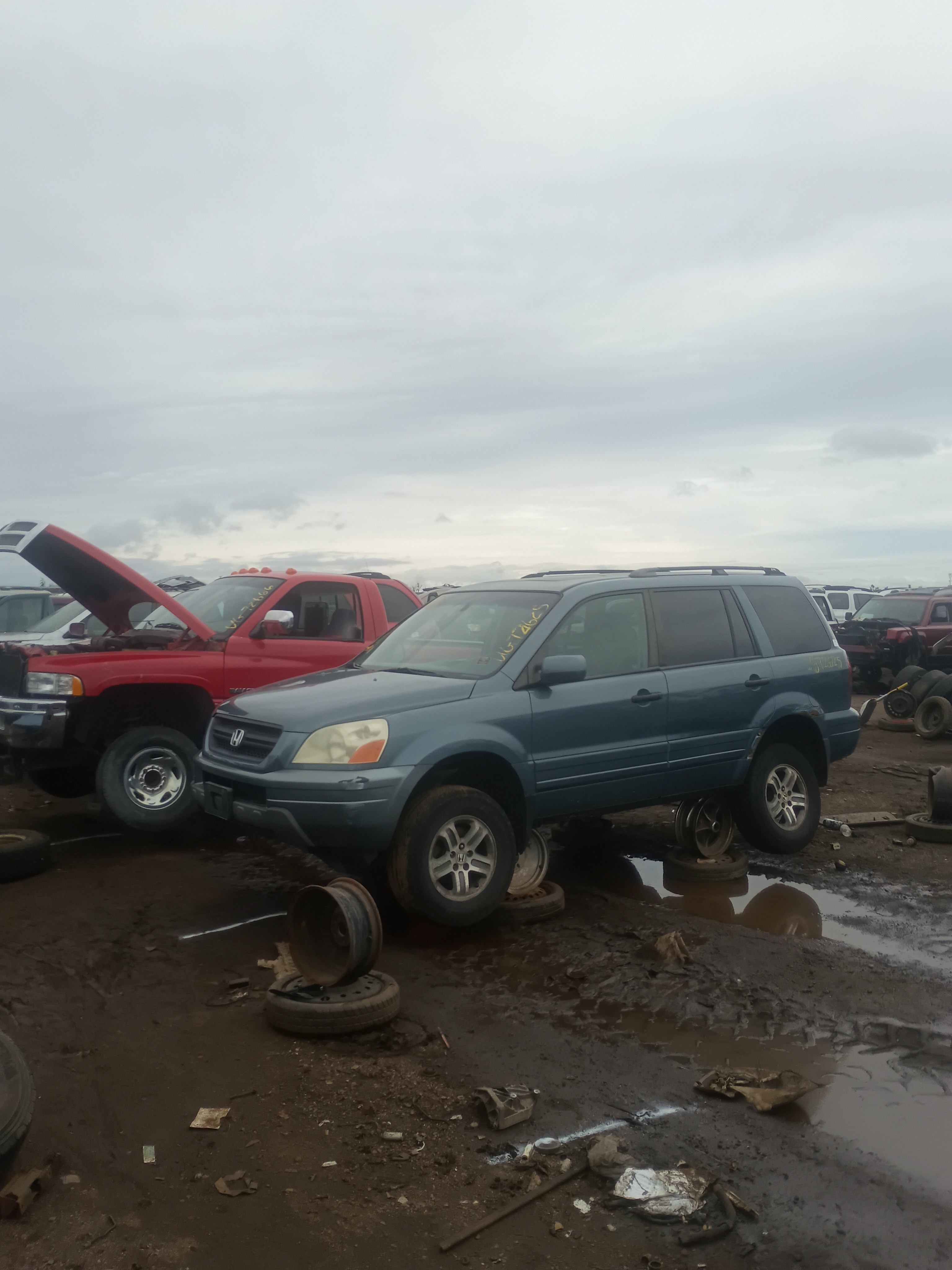2005 HONDA Pilot