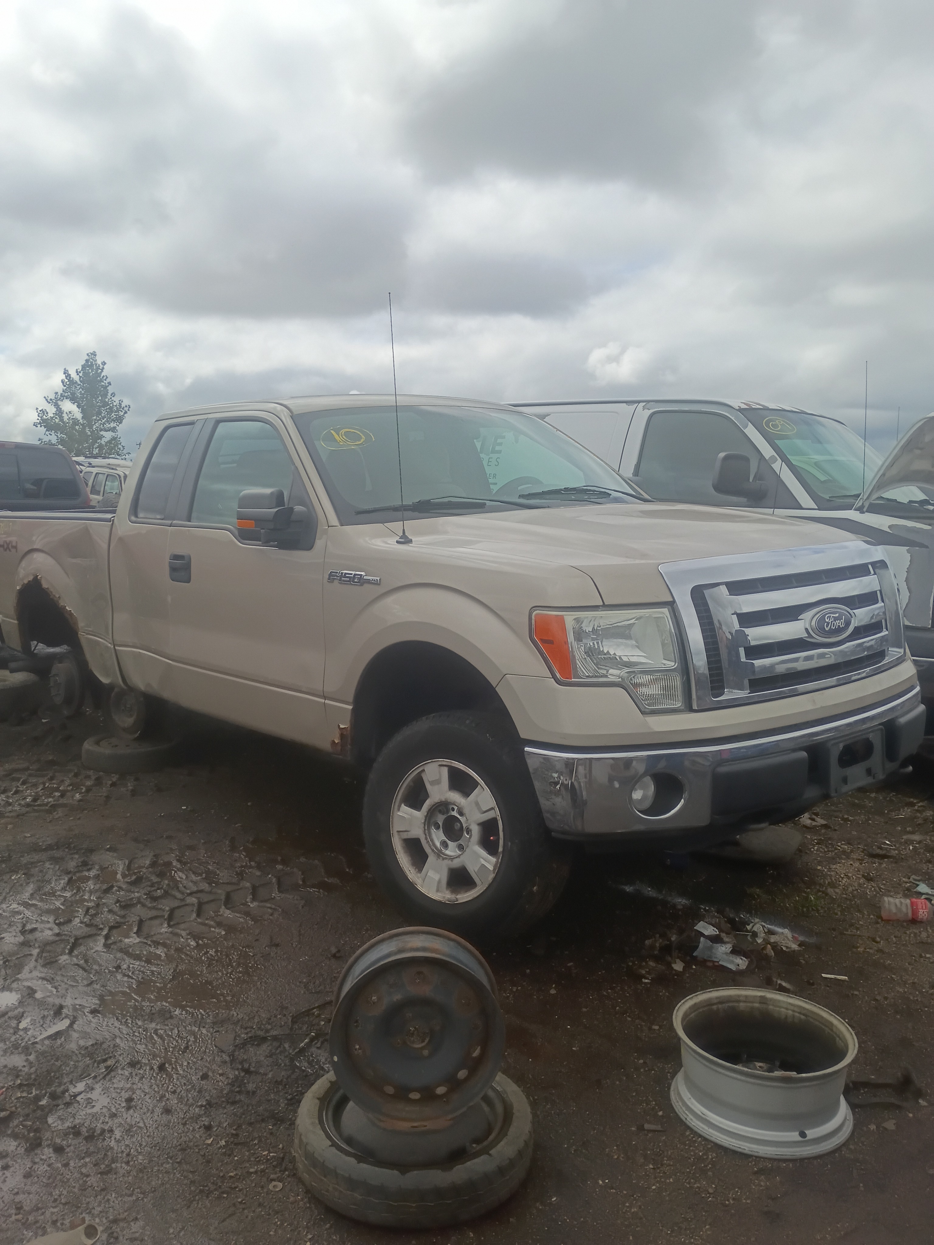 2010 FORD F-150