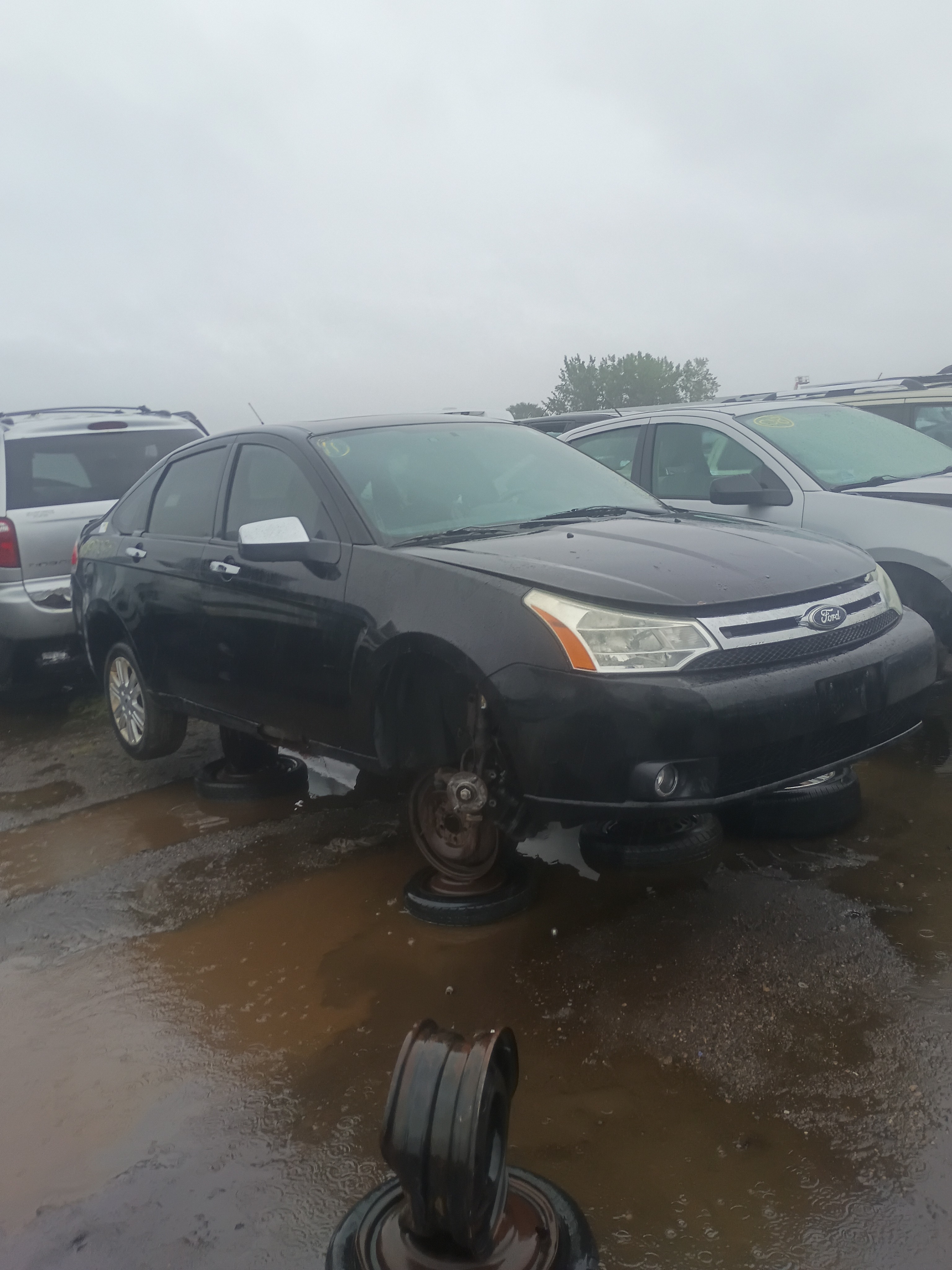 2011 FORD Focus