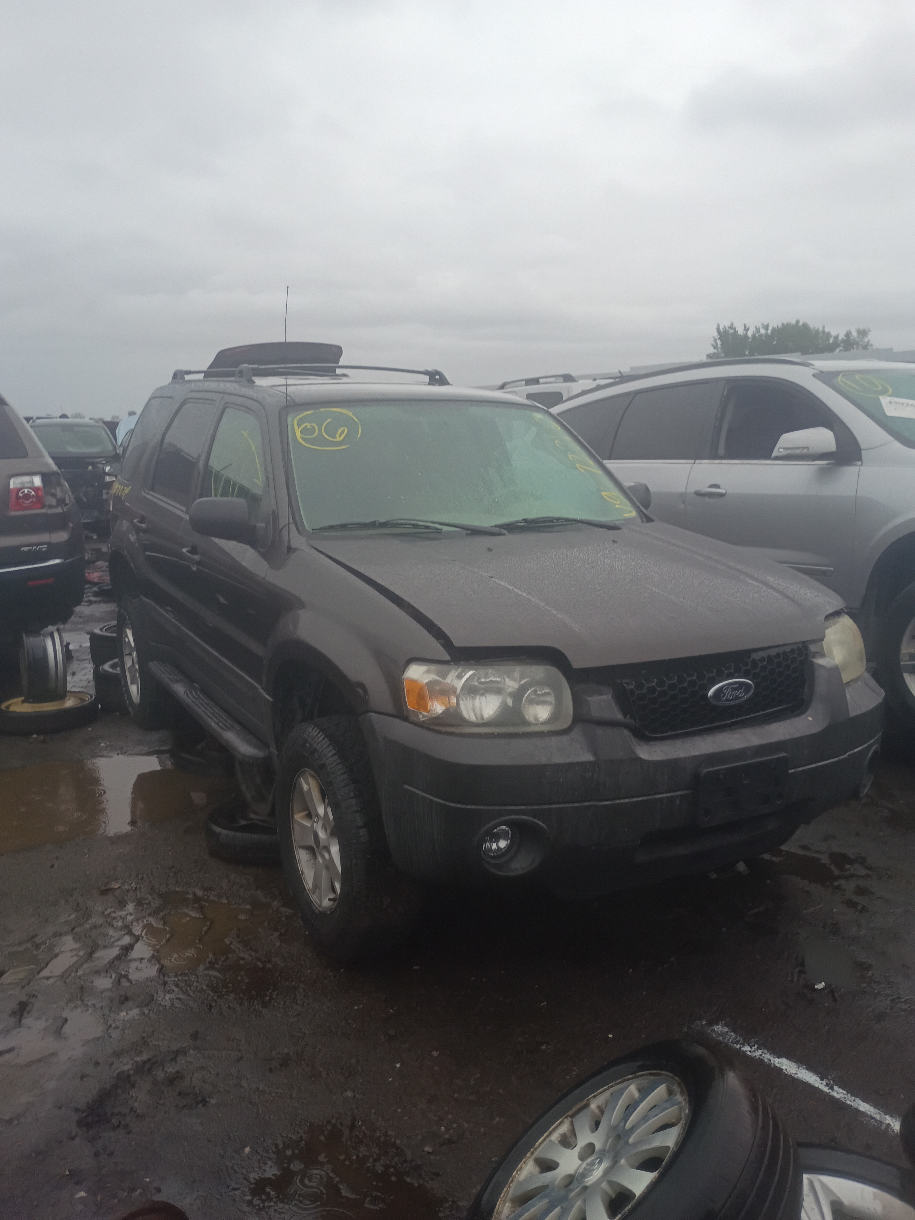 2006 FORD Escape