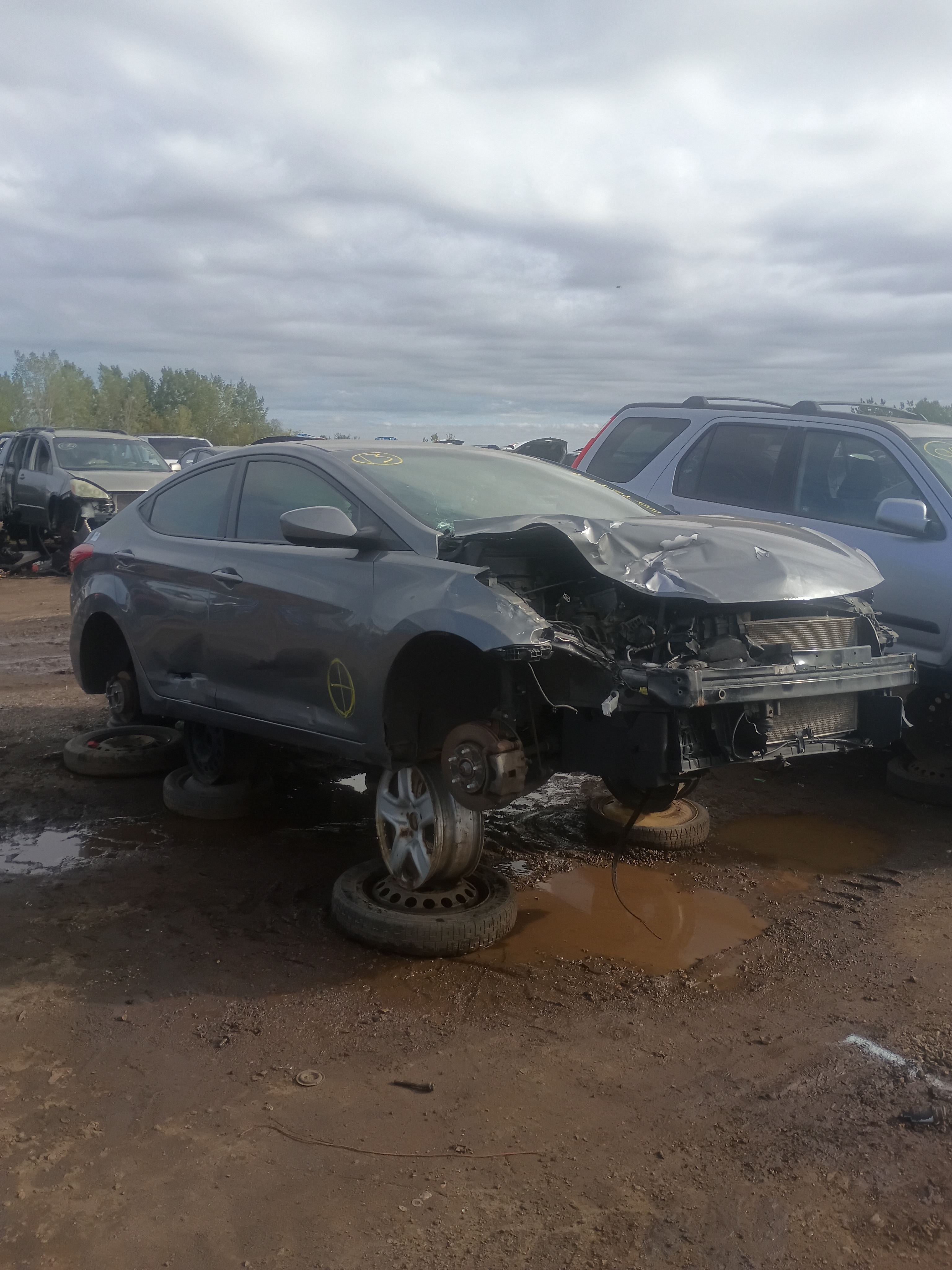 2013 HYUNDAI Elantra