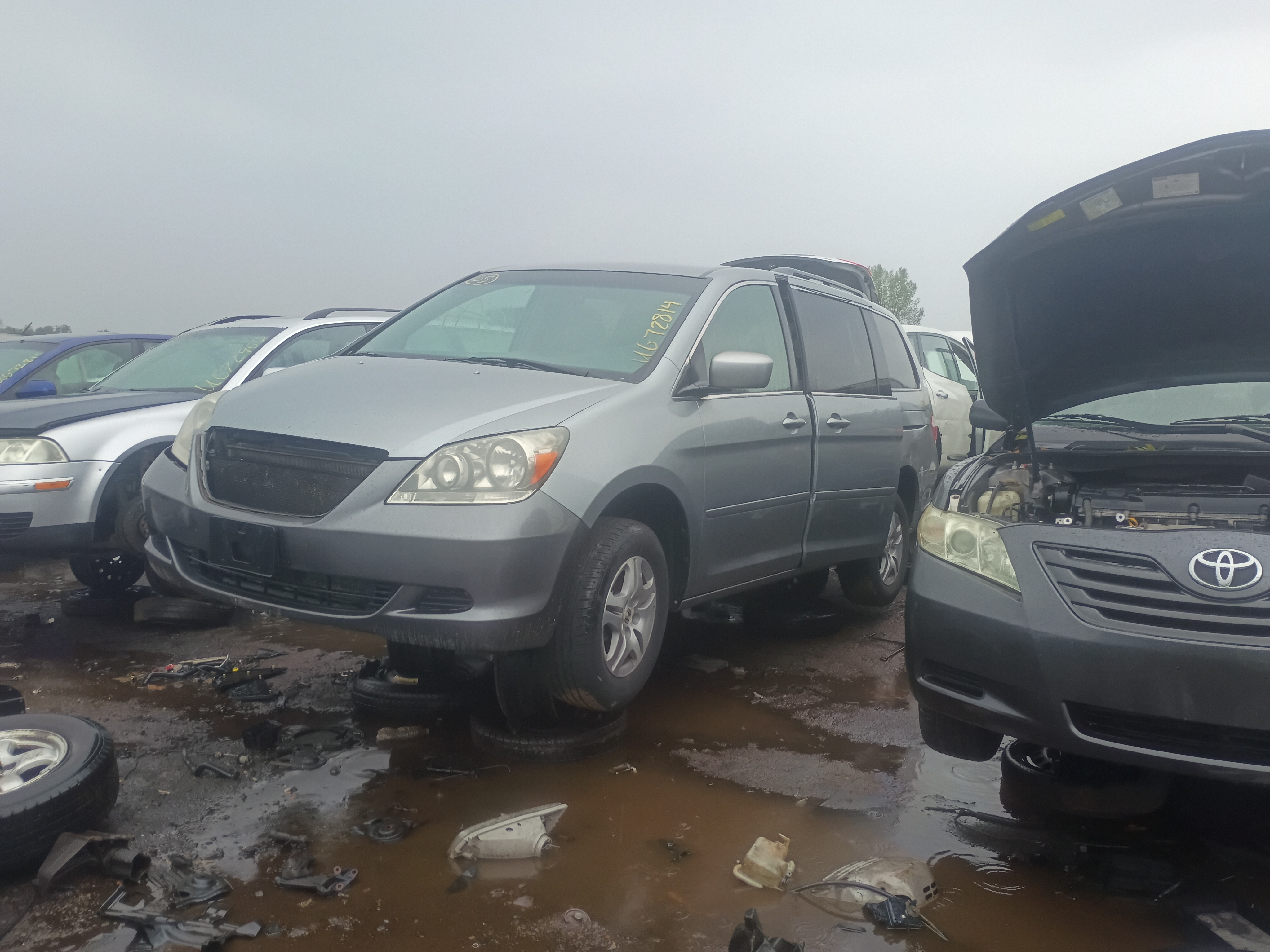 2005 HONDA Odyssey