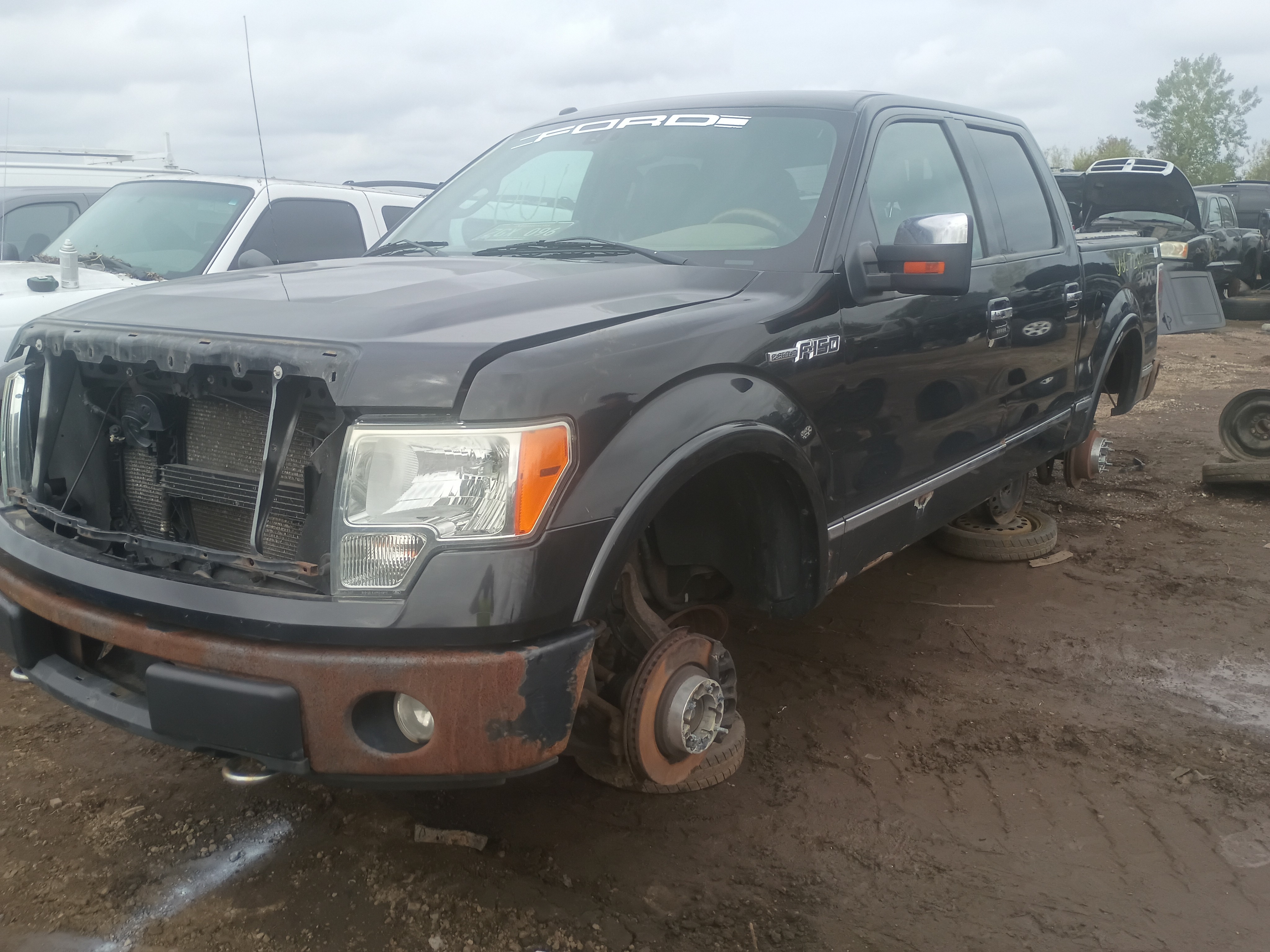 2010 FORD F-150