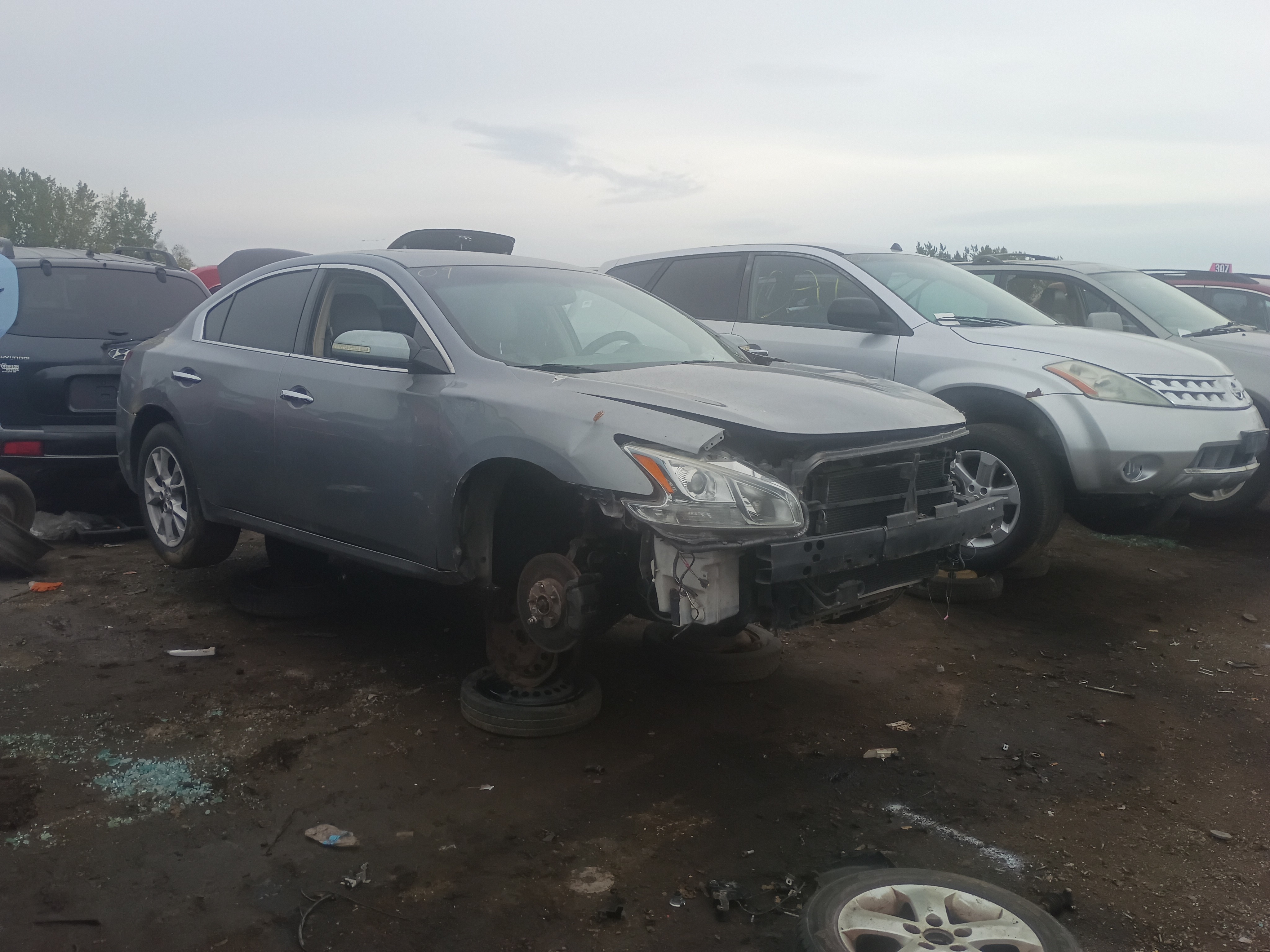 2009 NISSAN Maxima