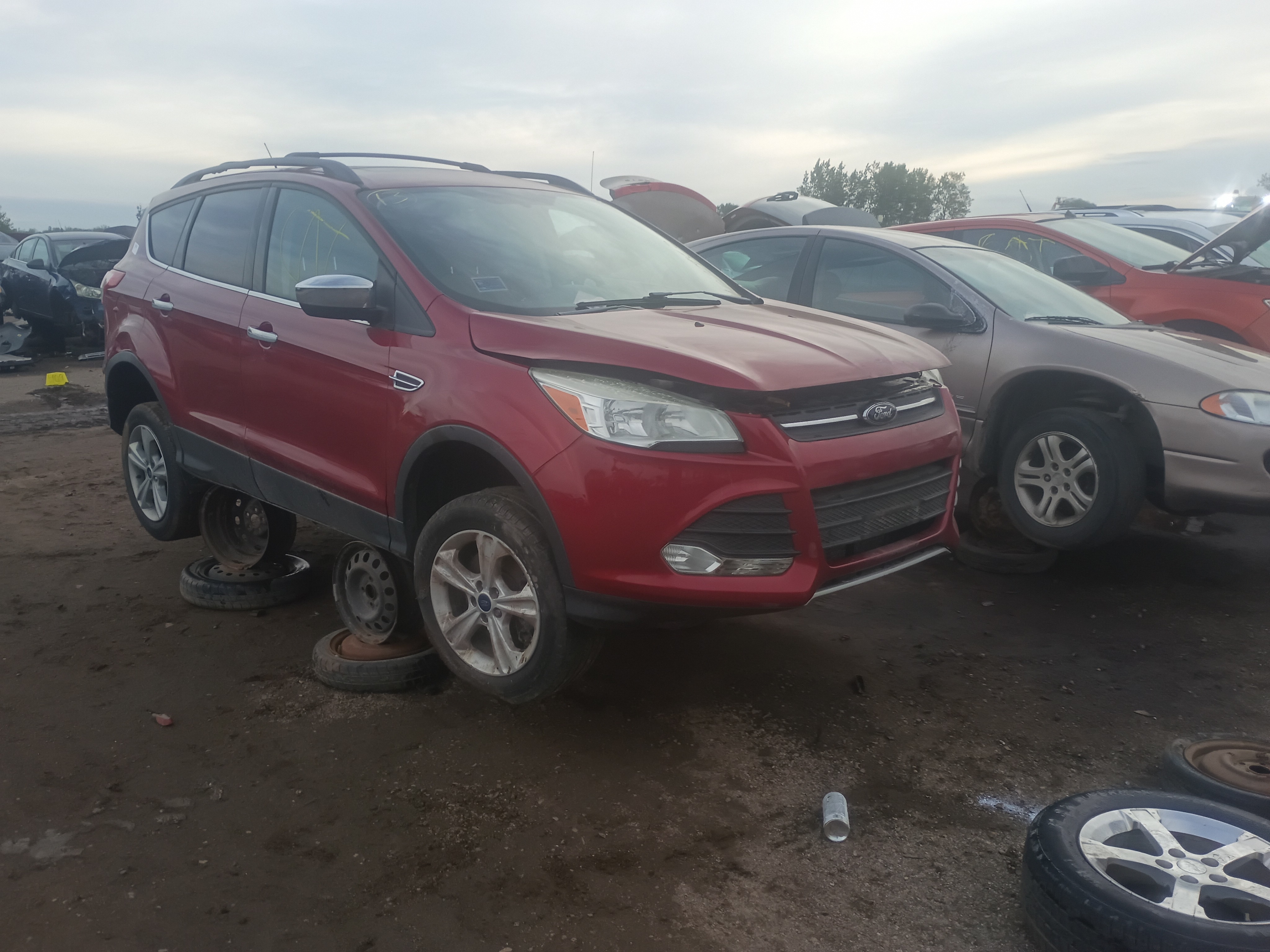 2013 FORD Escape