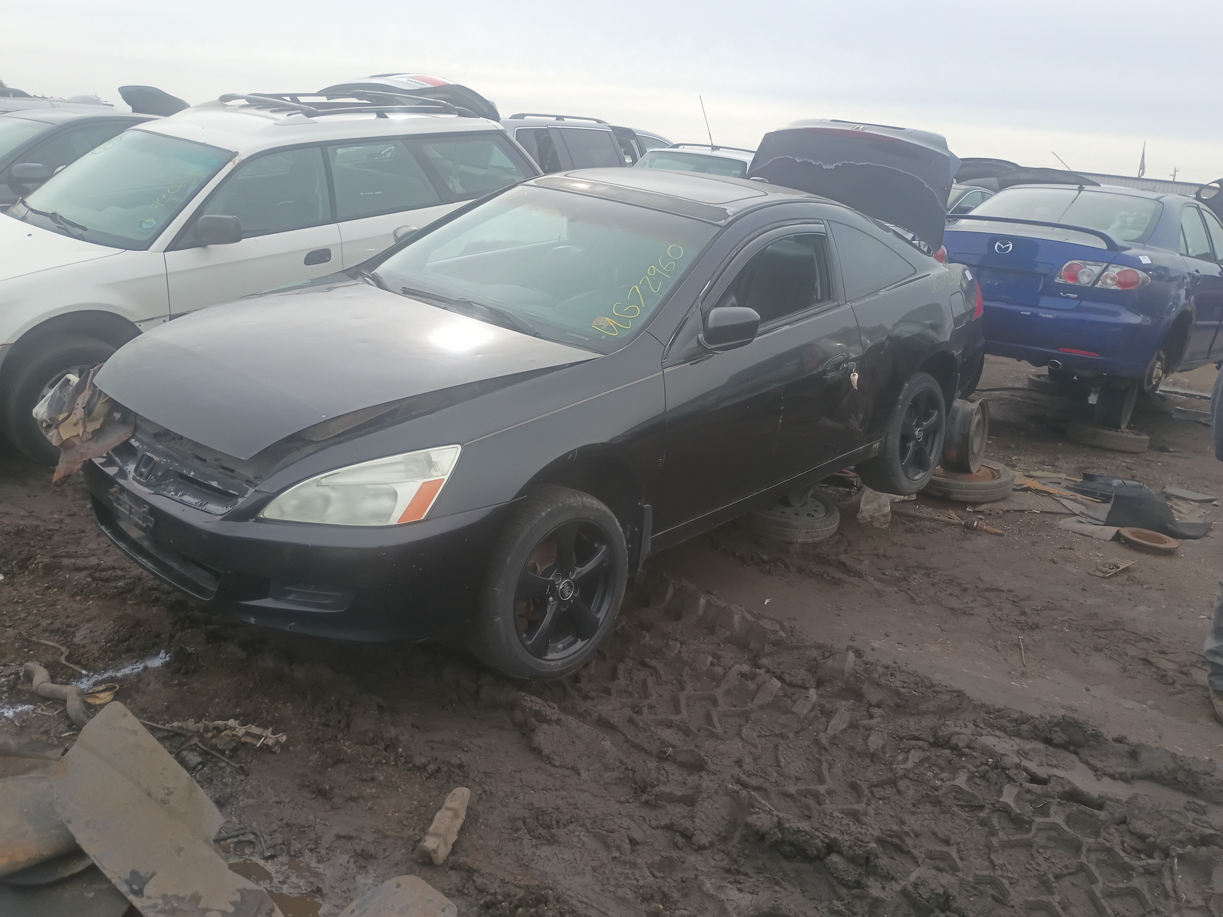 2006 HONDA Accord