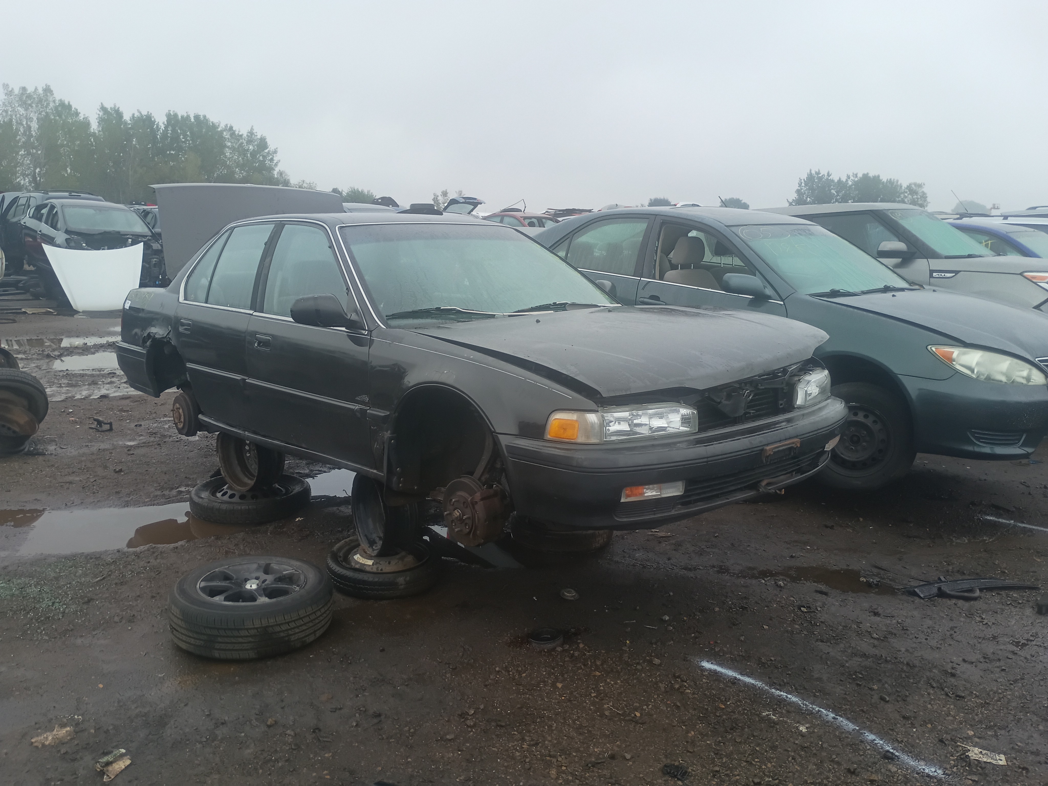 1990 HONDA Accord