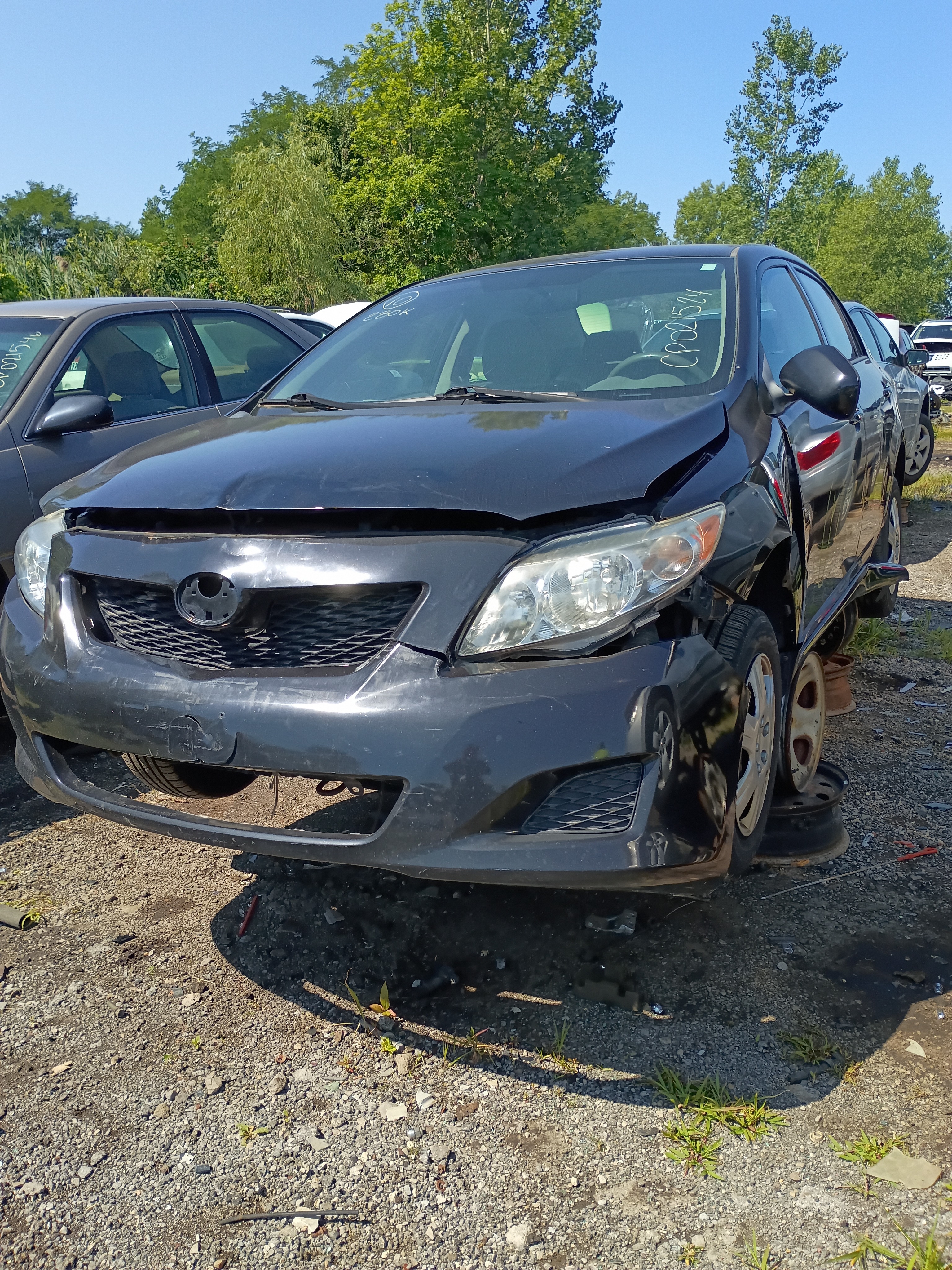 2010 TOYOTA Corolla