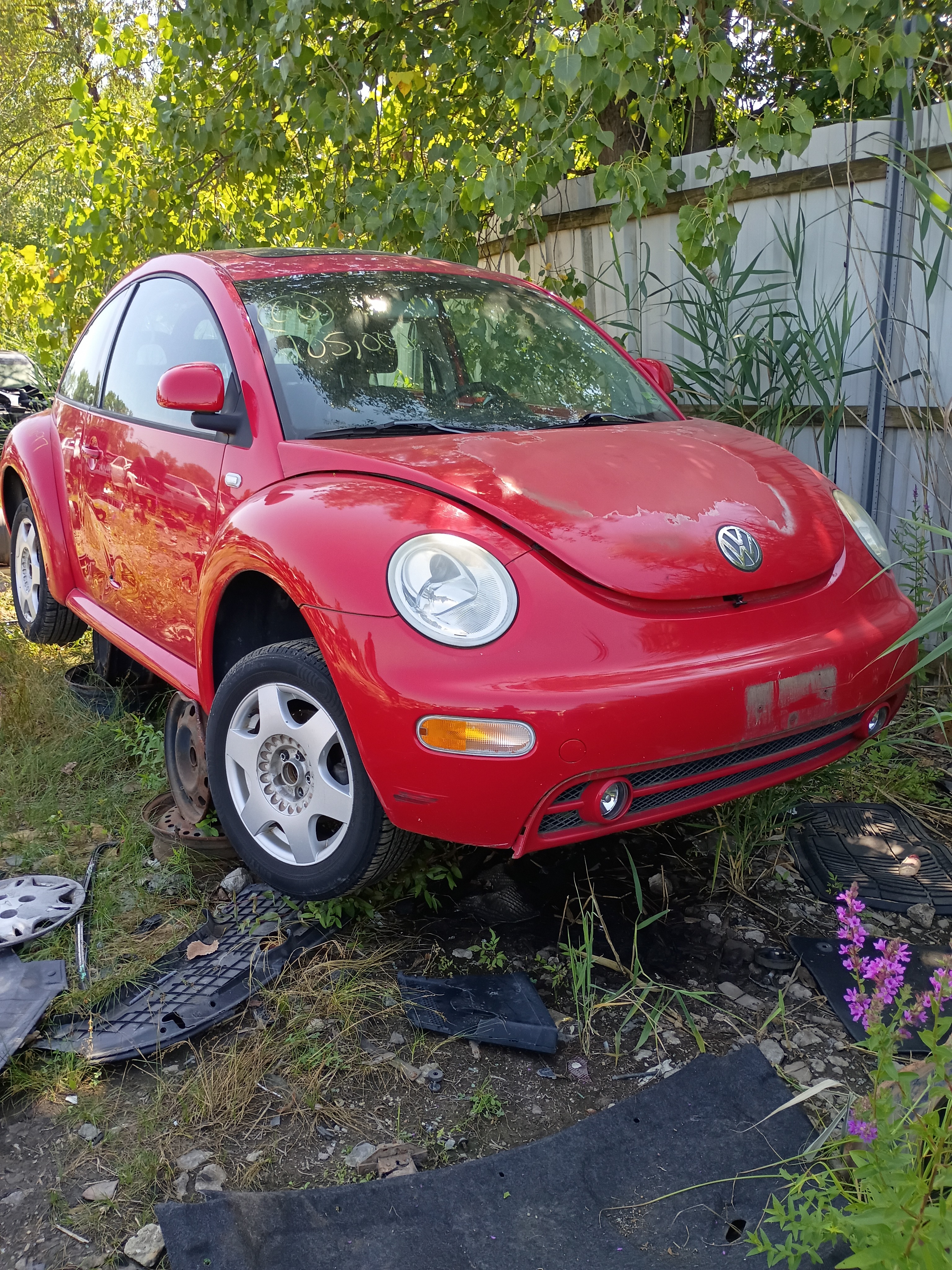 2000 VOLKSWAGEN Beetle
